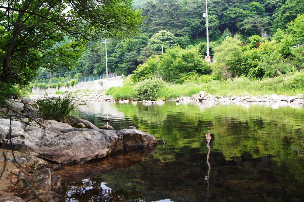 가평명지산카라반글램핑