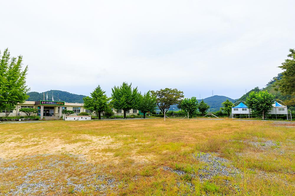 충주 비내캠프 체험학습장