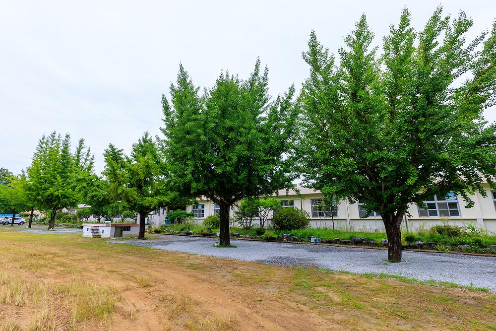 충주 비내캠프 체험학습장