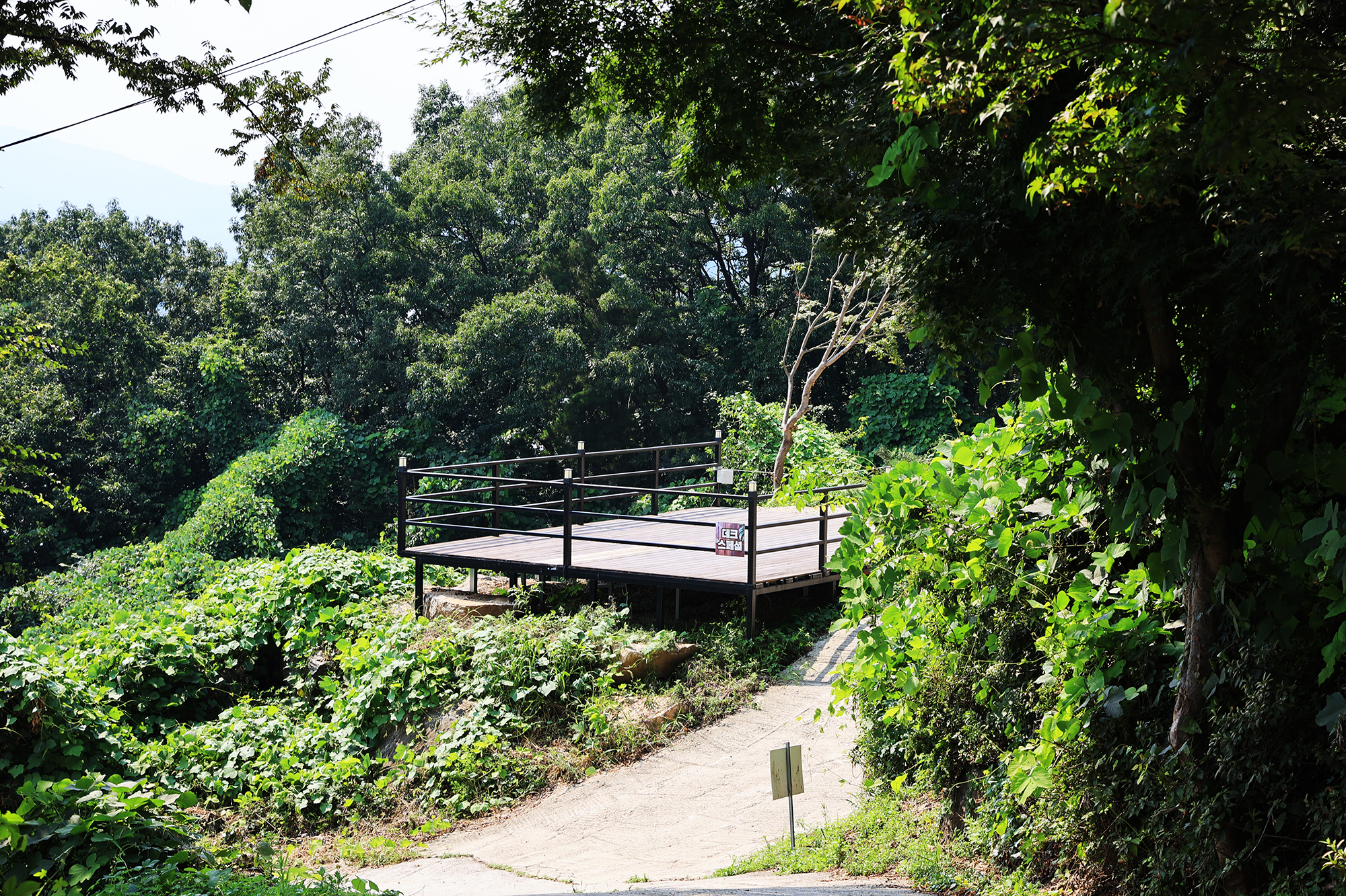 약수동산 8번째 이미지