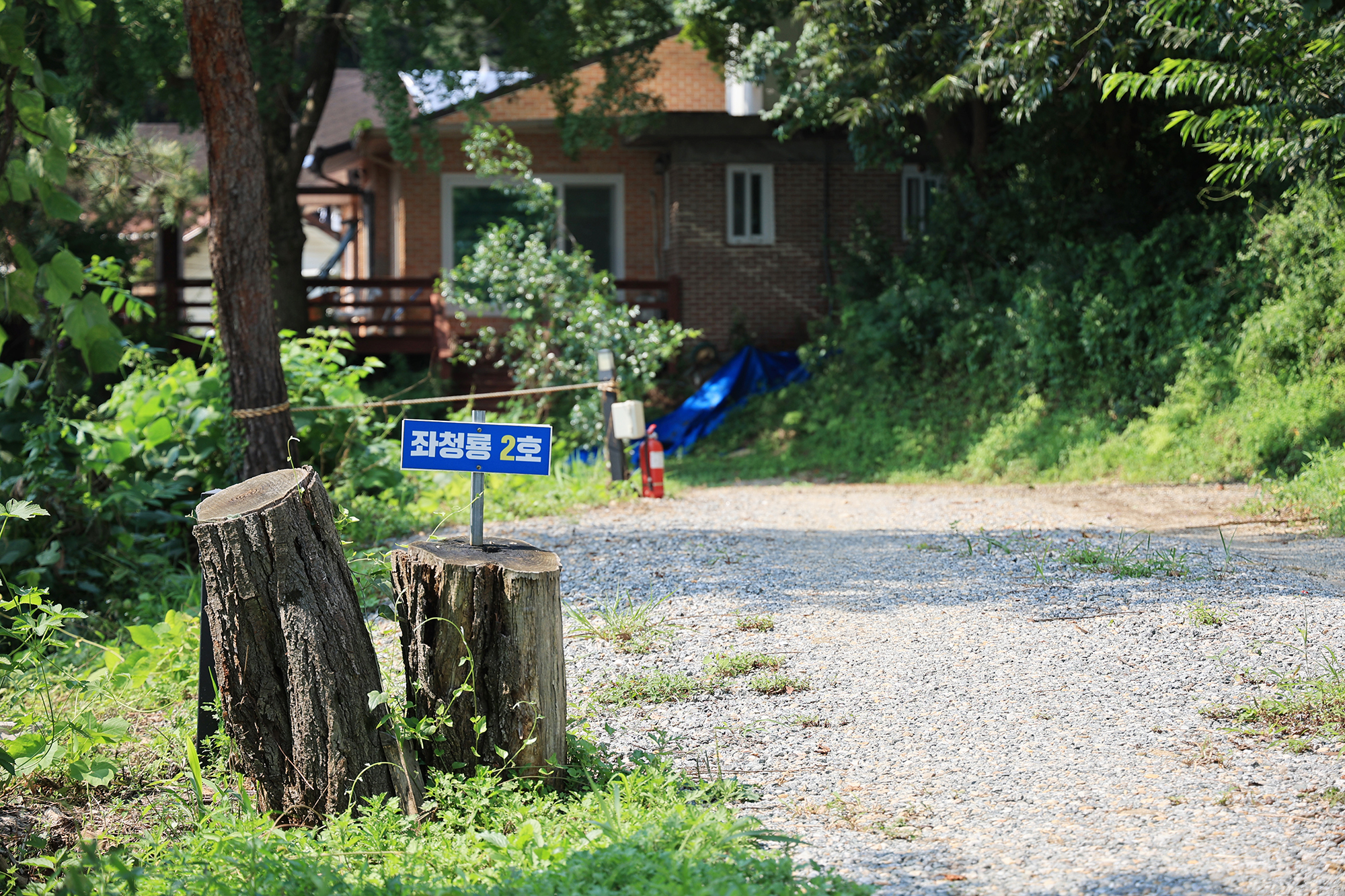 약수동산 19번째 이미지