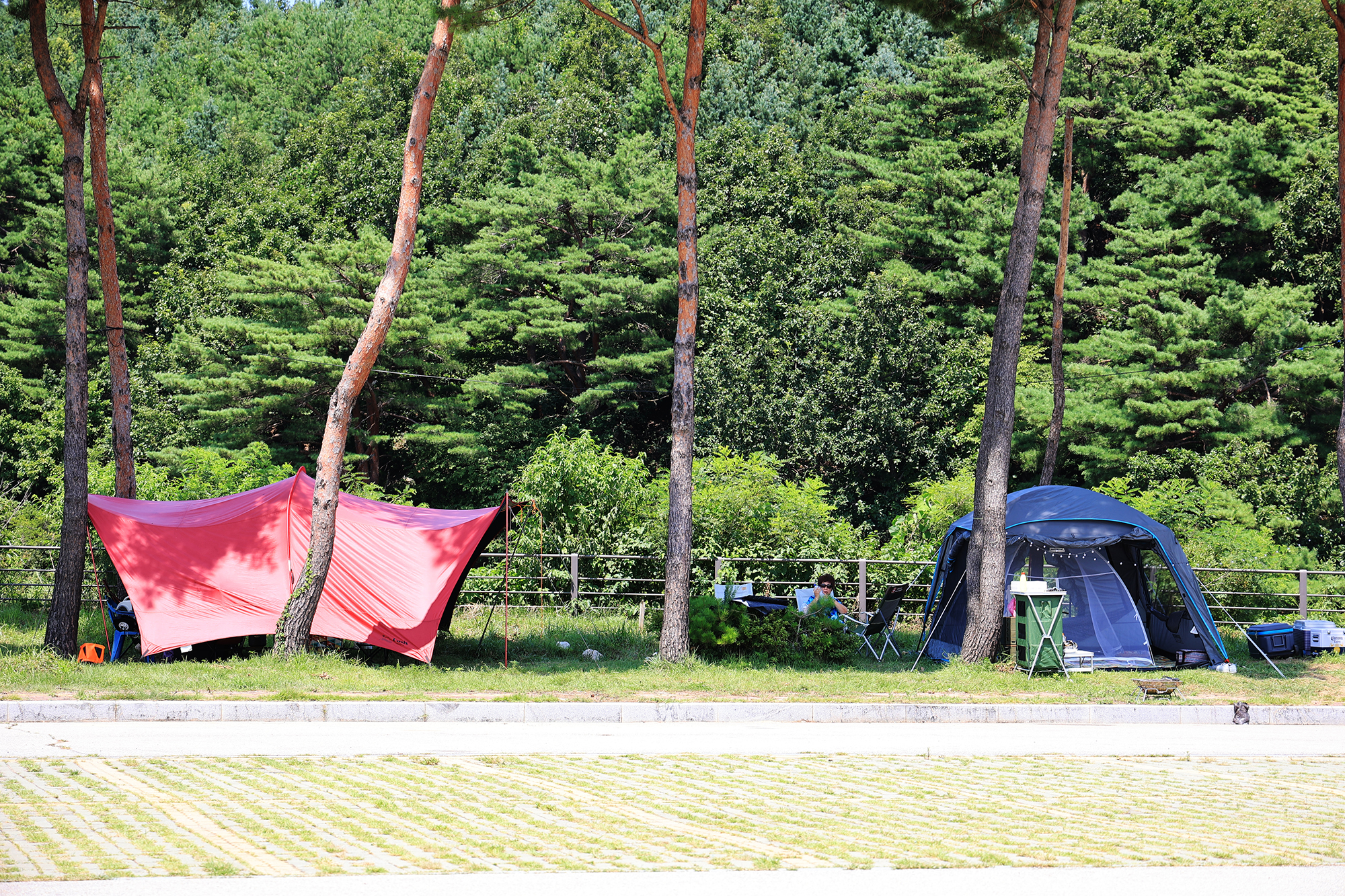 명파리해변야영장 21번째 이미지