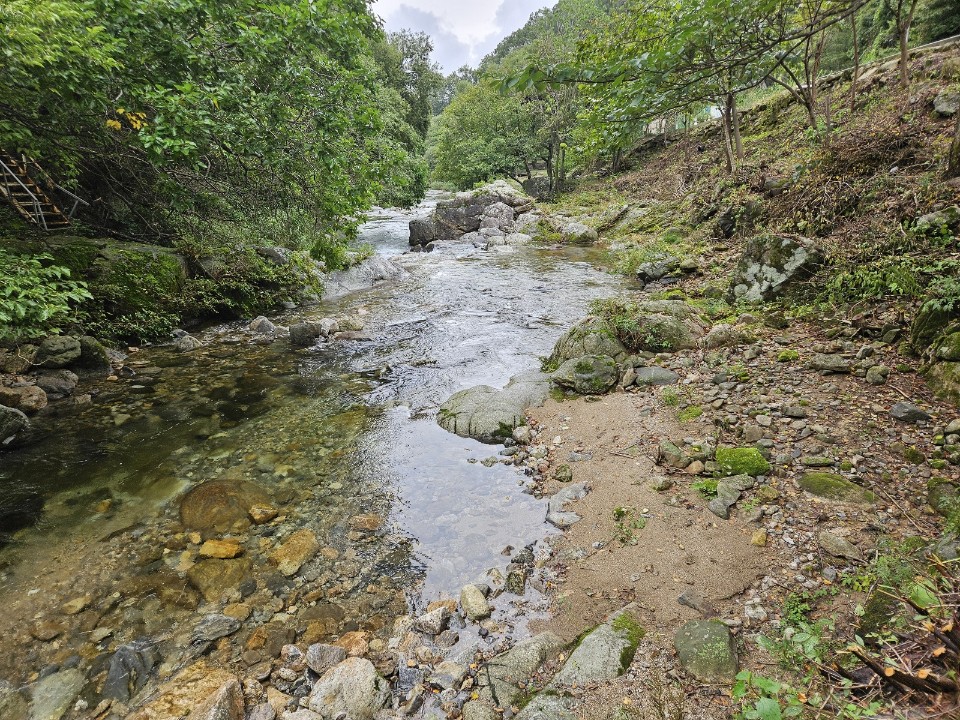 월성자연캠핑야영장 이미지
