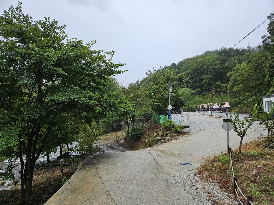 월성자연캠핑야영장 이미지