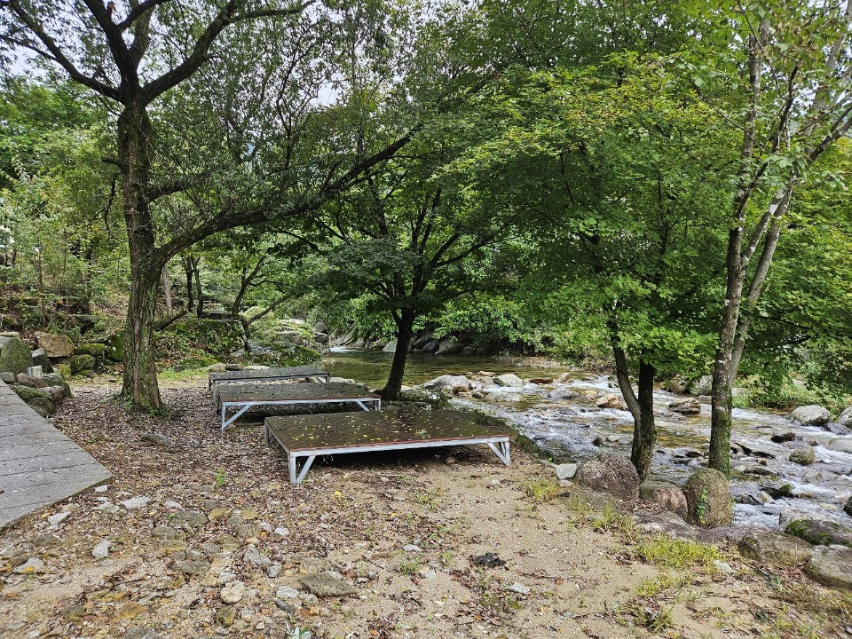 월성자연캠핑야영장 이미지