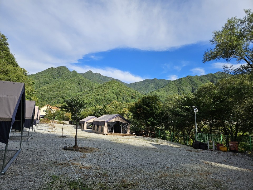 월성자연캠핑야영장 이미지