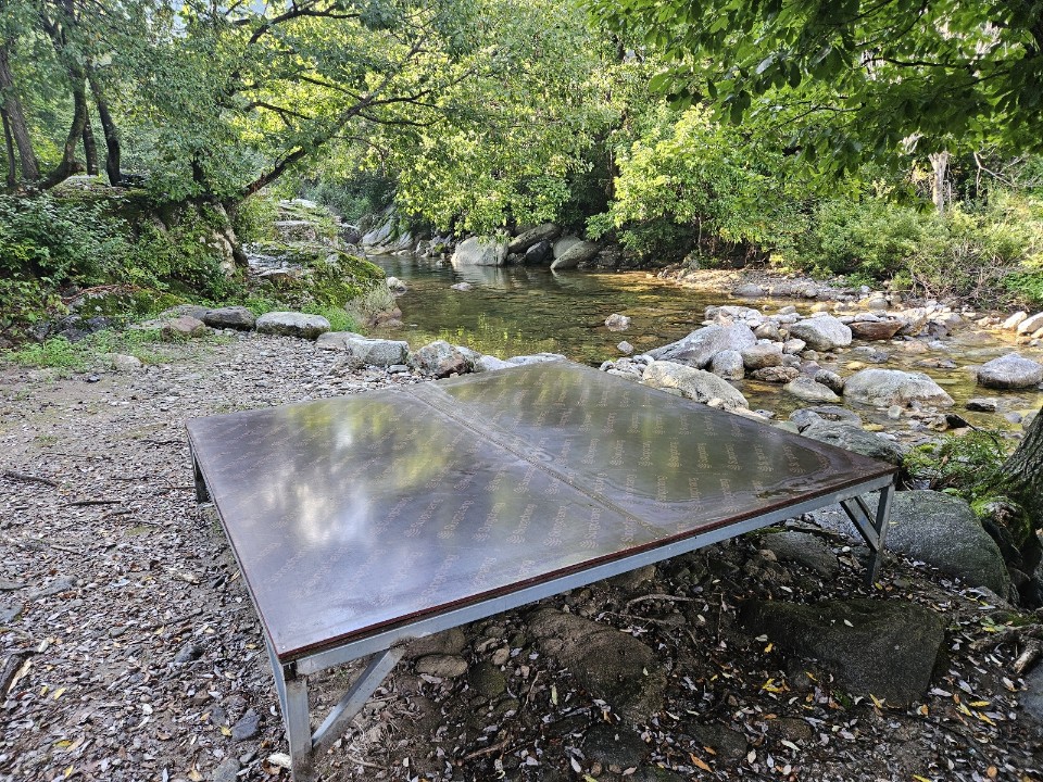 월성자연캠핑야영장 이미지