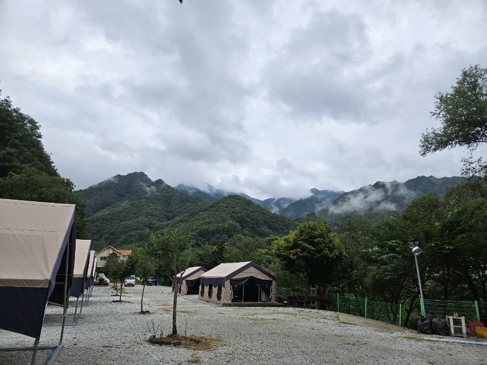 월성자연캠핑야영장 이미지