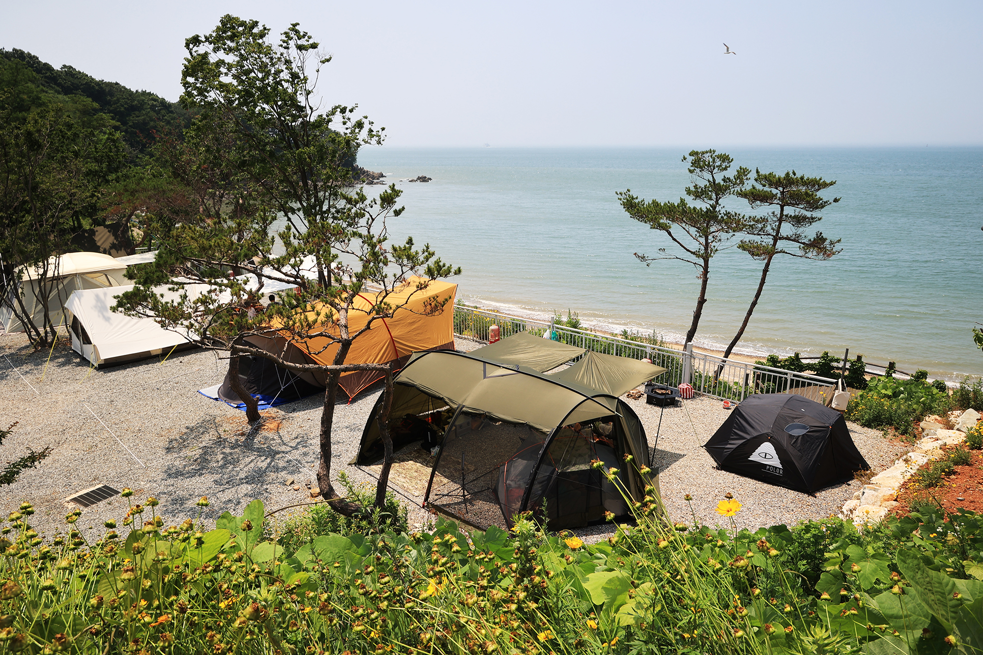 영흥도어울림캠핑장 2번째 이미지