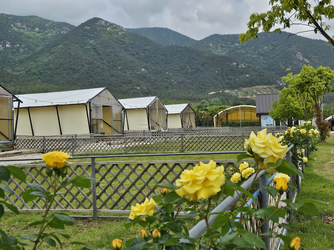 땡땡이글램핑 이미지