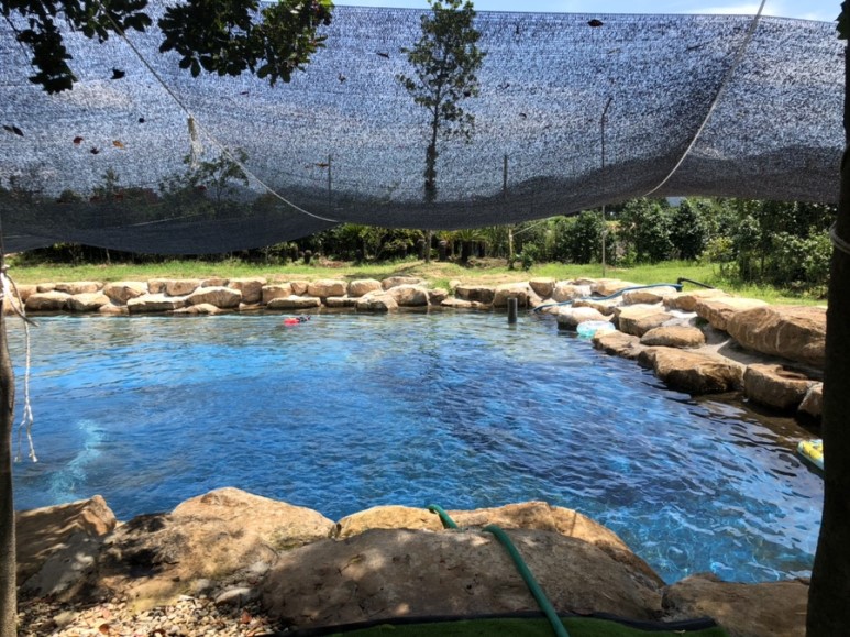 땡땡이글램핑 이미지