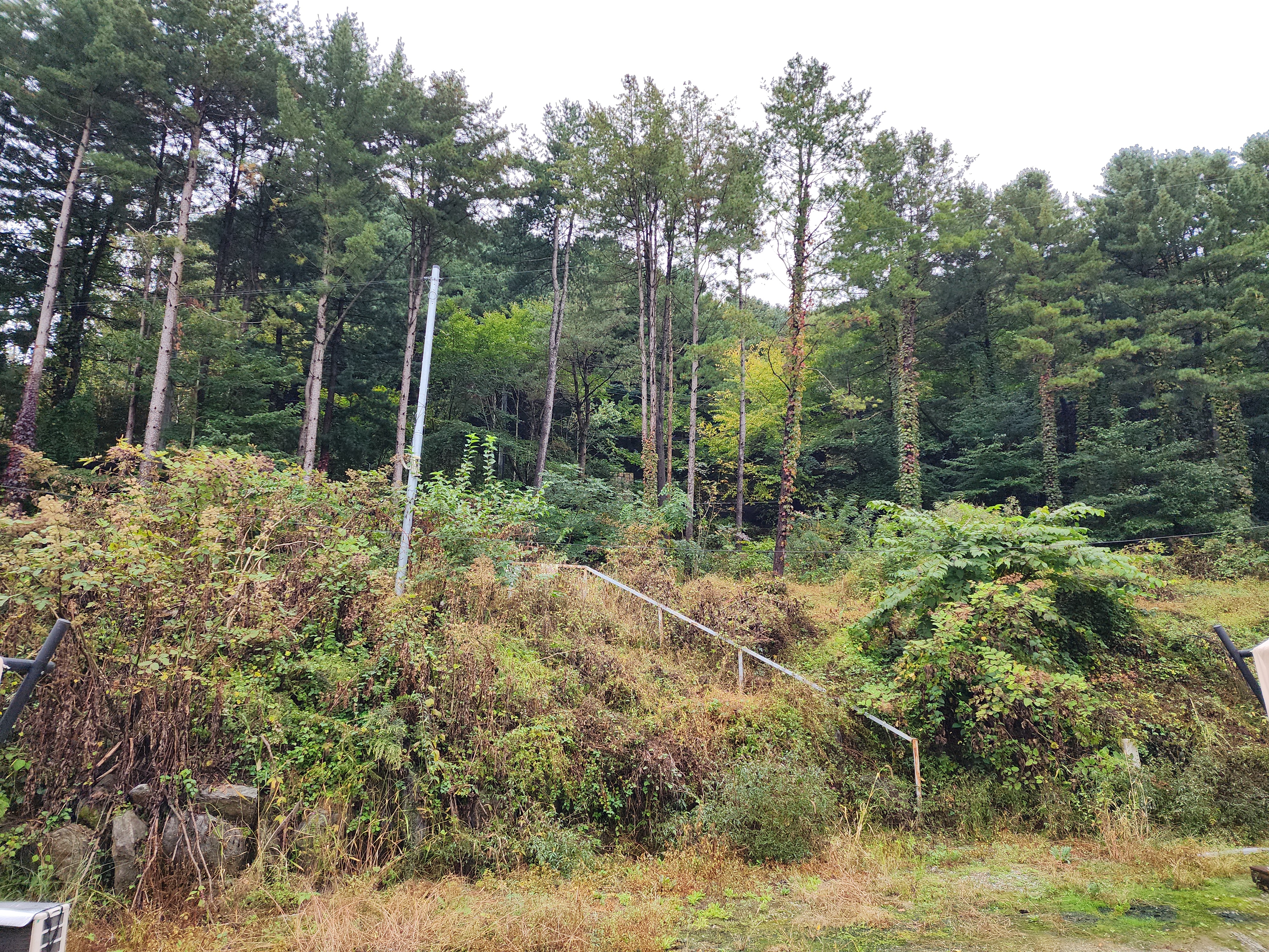 달빛정원글램핑&카라반 25번째 이미지