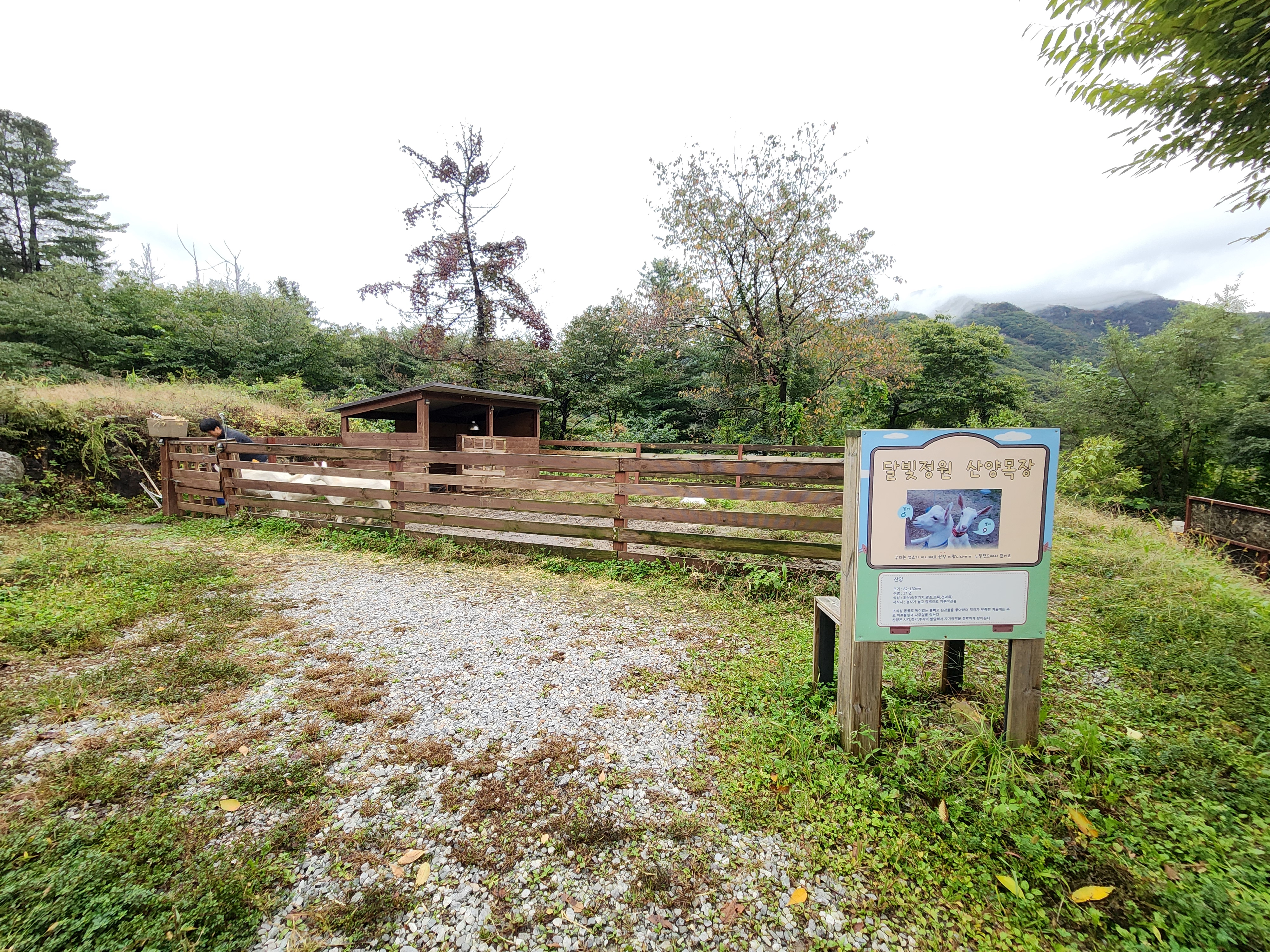 달빛정원글램핑&카라반 21번째 이미지