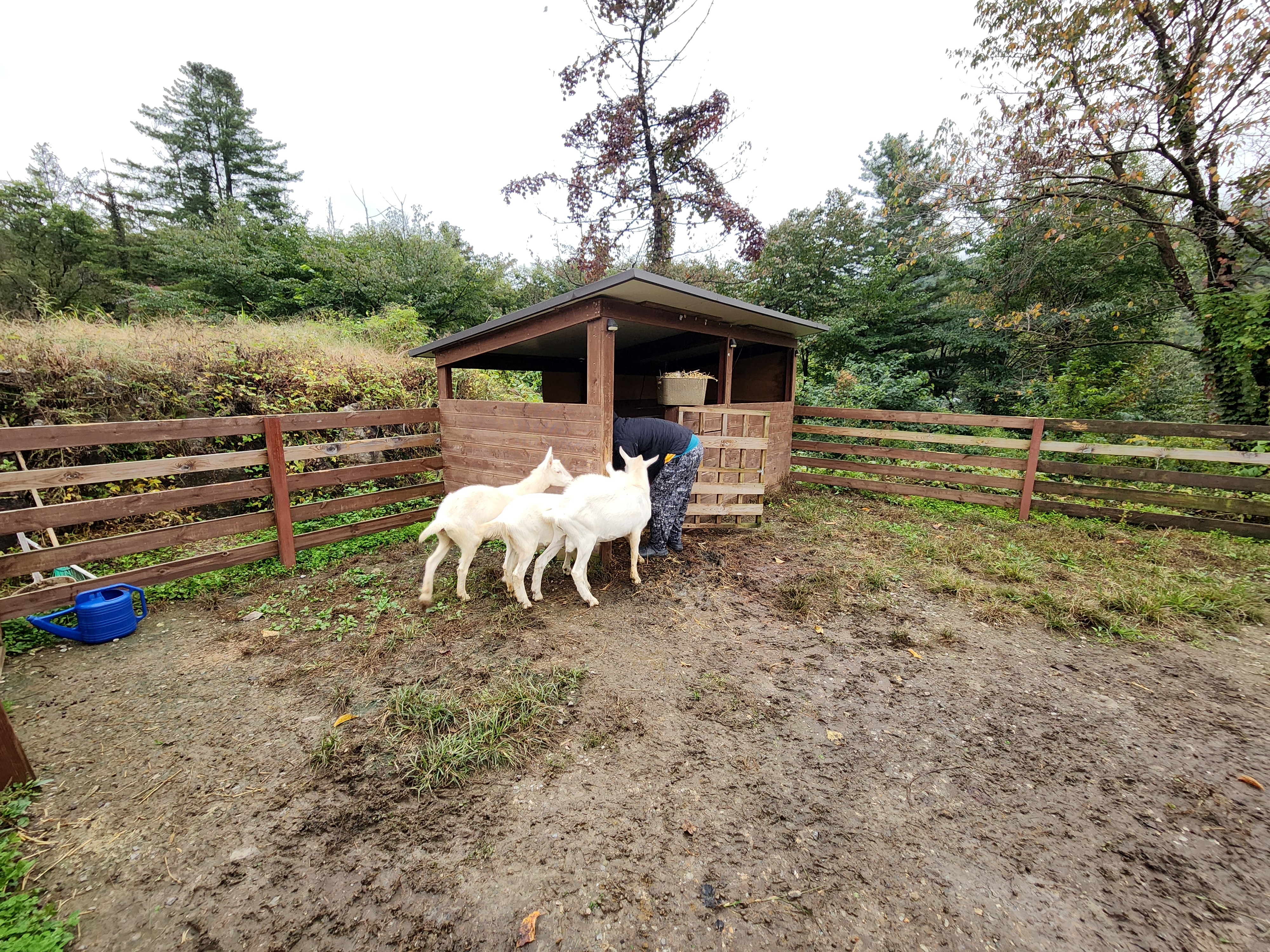 달빛정원글램핑&카라반 22번째 이미지