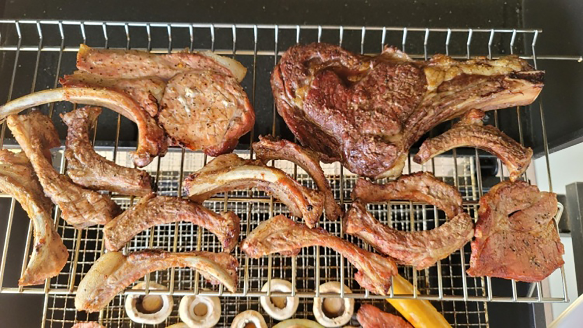 꾸네오 캠핑장 9번째 이미지