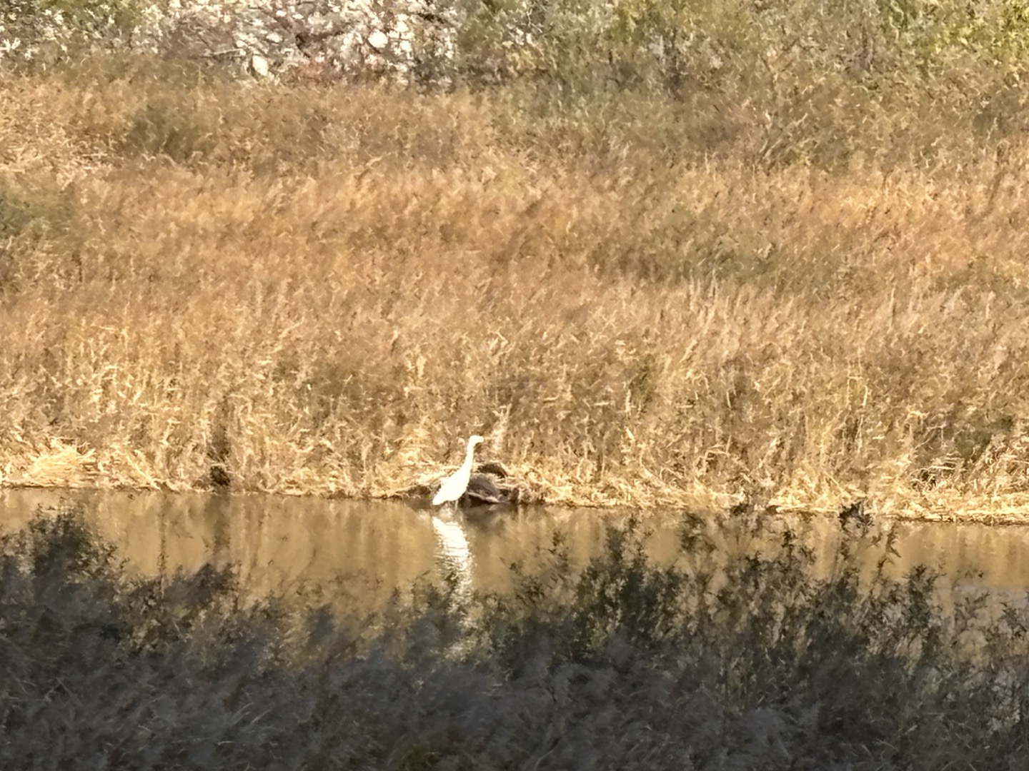 양양 고인돌 캠핑장 28번째 이미지