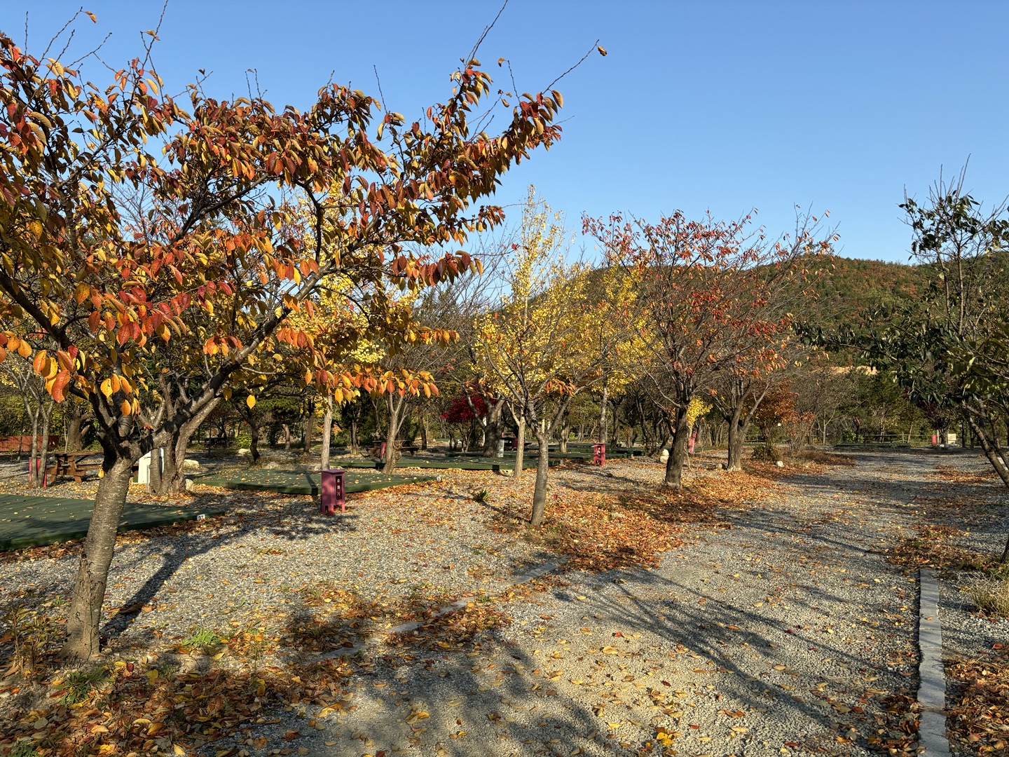 양양 고인돌 캠핑장 26번째 이미지