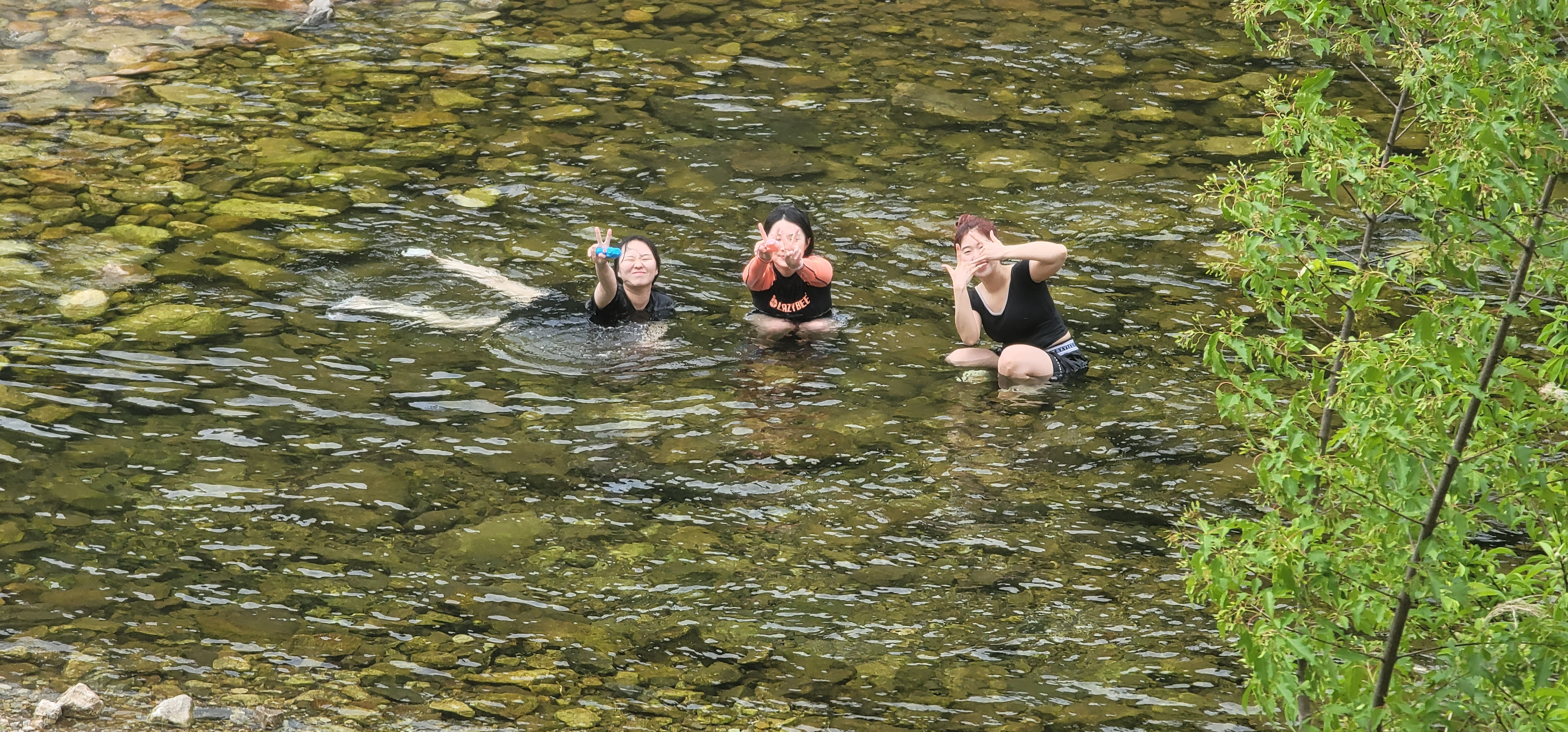 영월가자 펜션&캠핑장 18번째 이미지