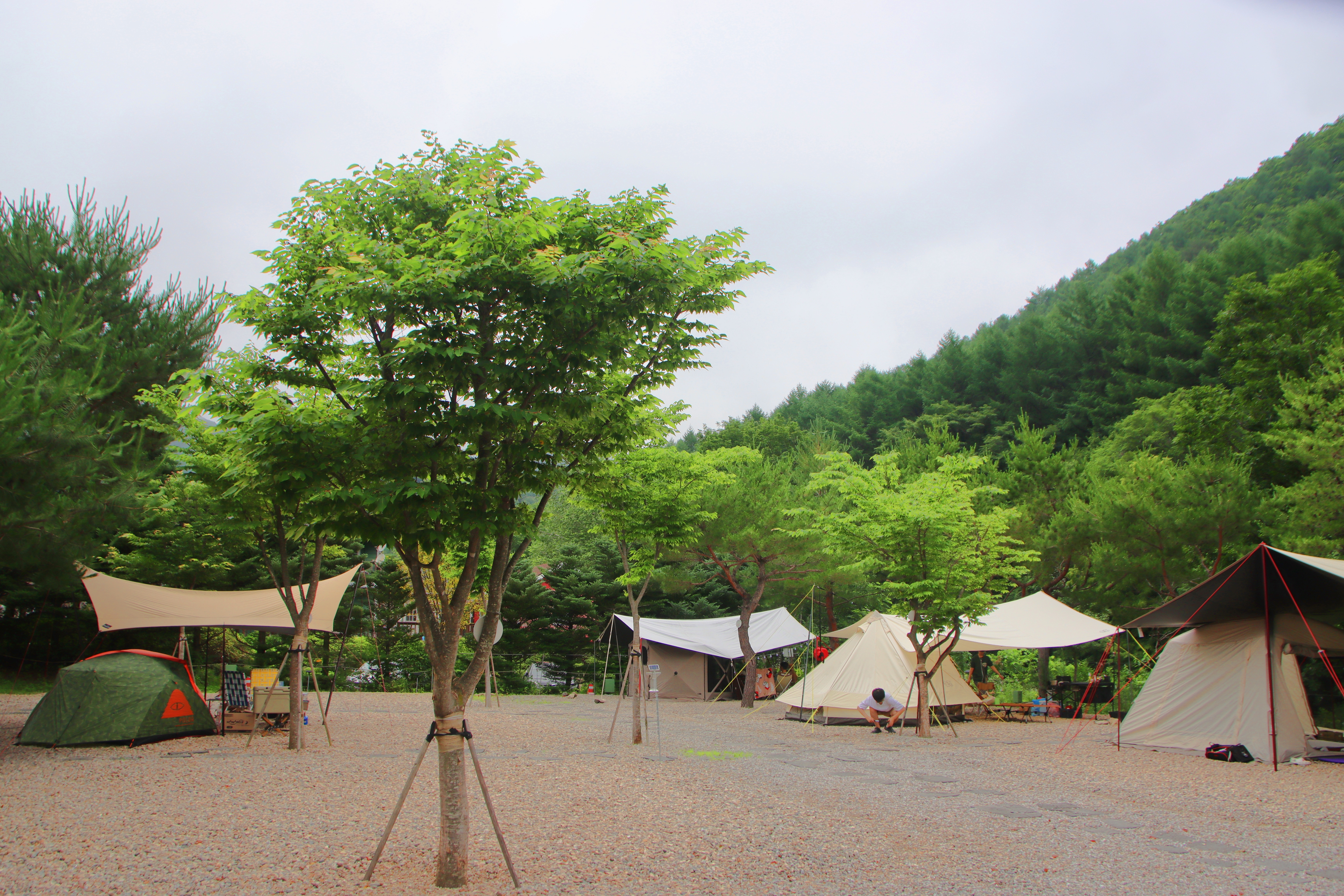 캠프 고토일 이미지