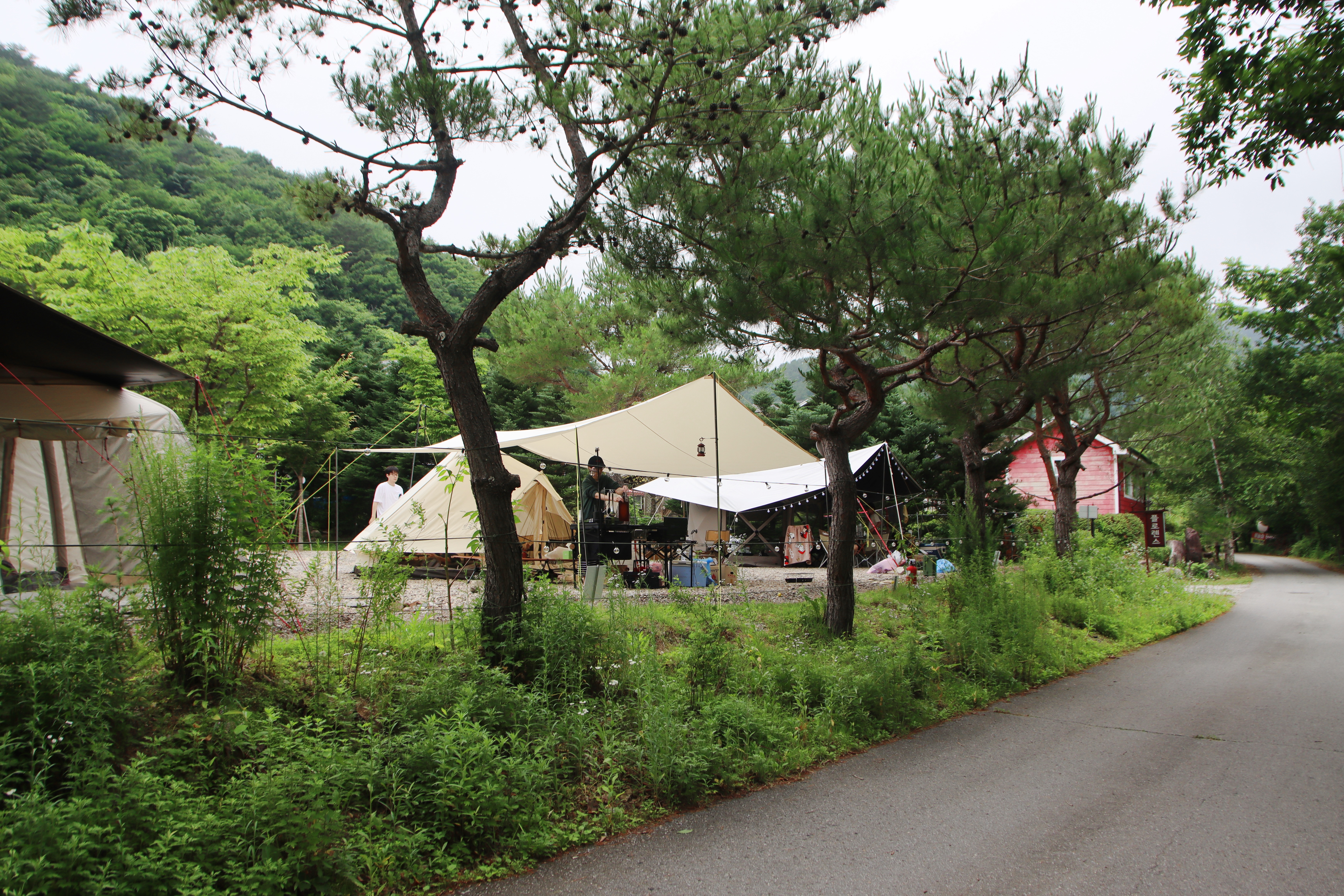 캠프 고토일 이미지