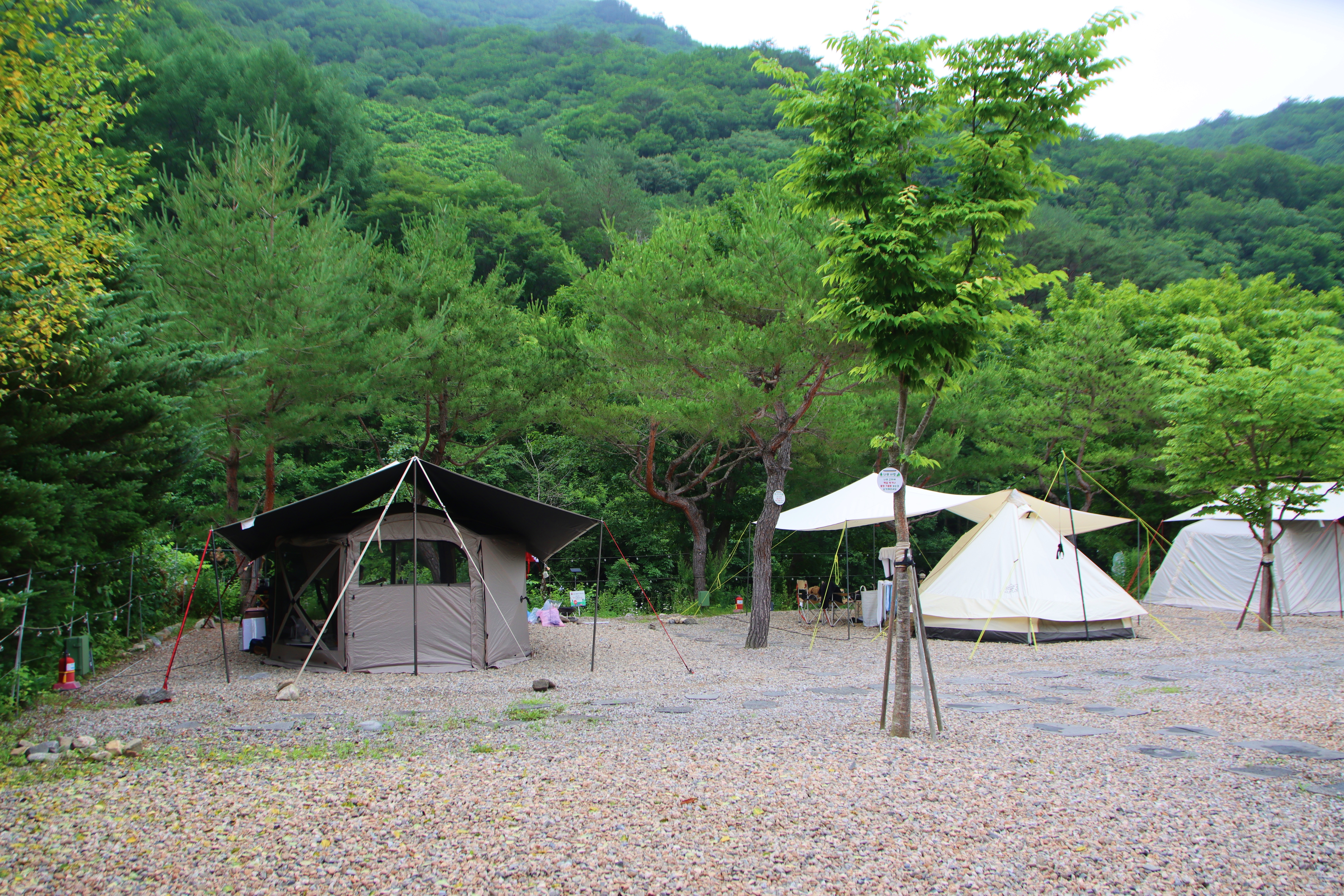 캠프 고토일 이미지