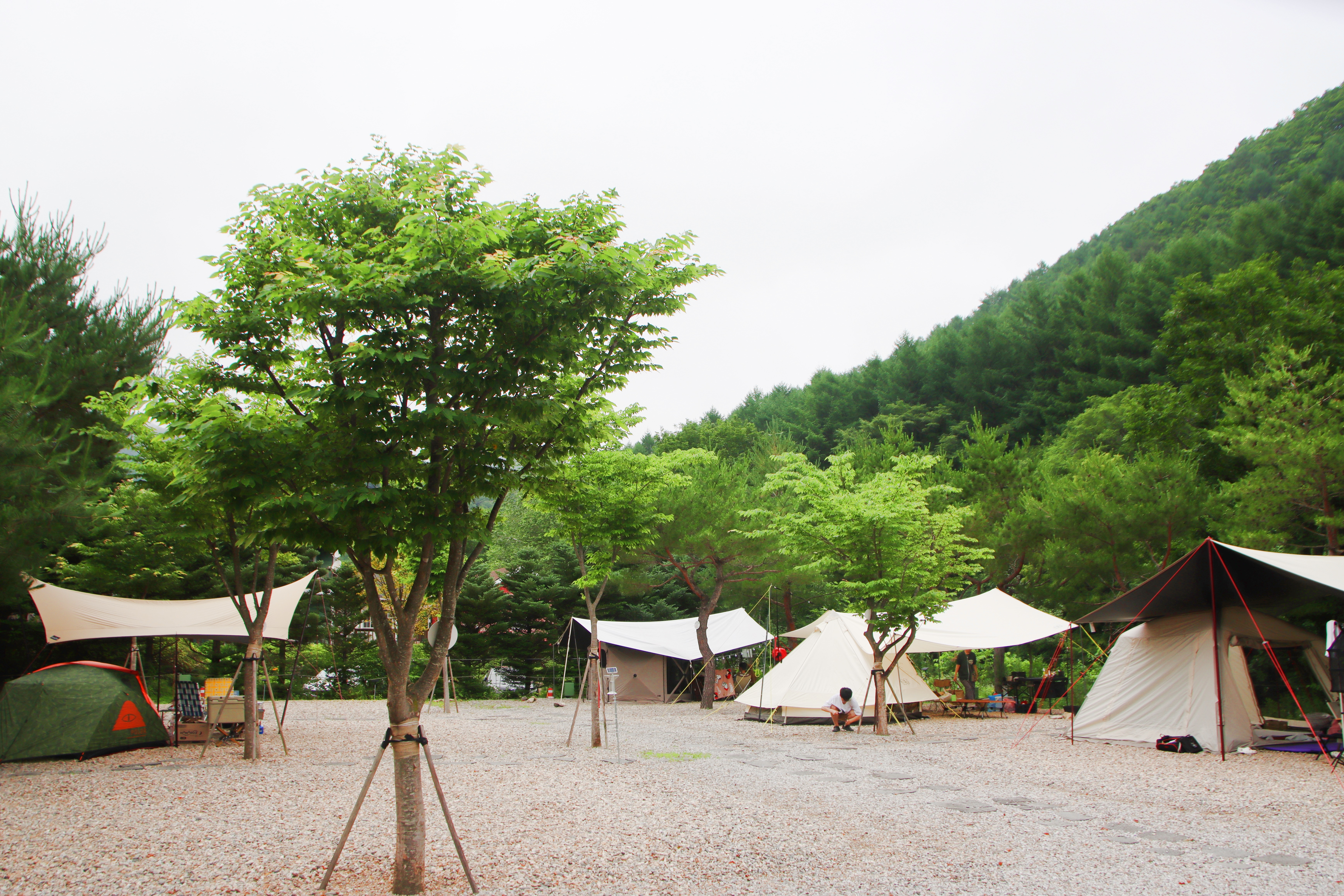 캠프 고토일 이미지