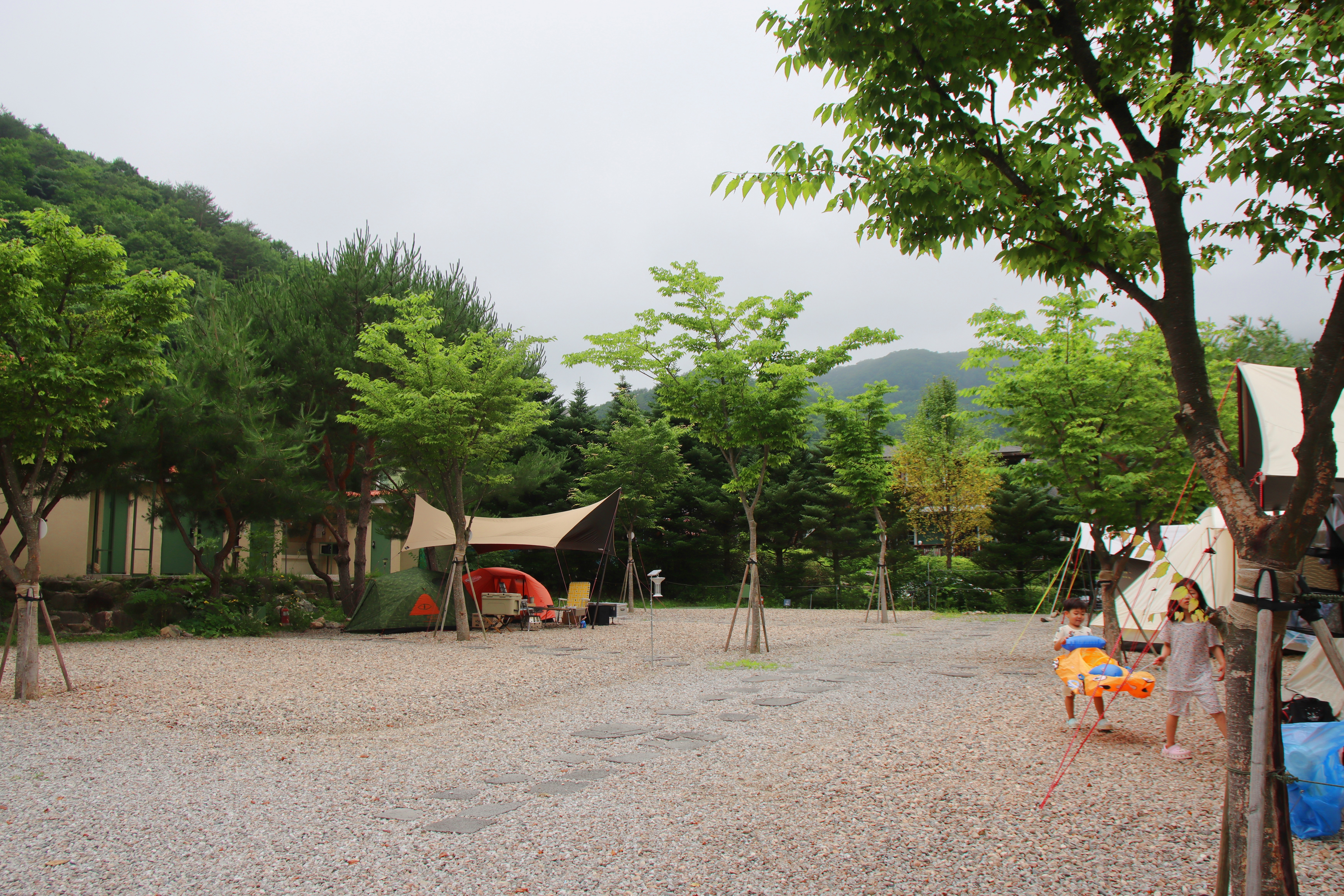 캠프 고토일 이미지