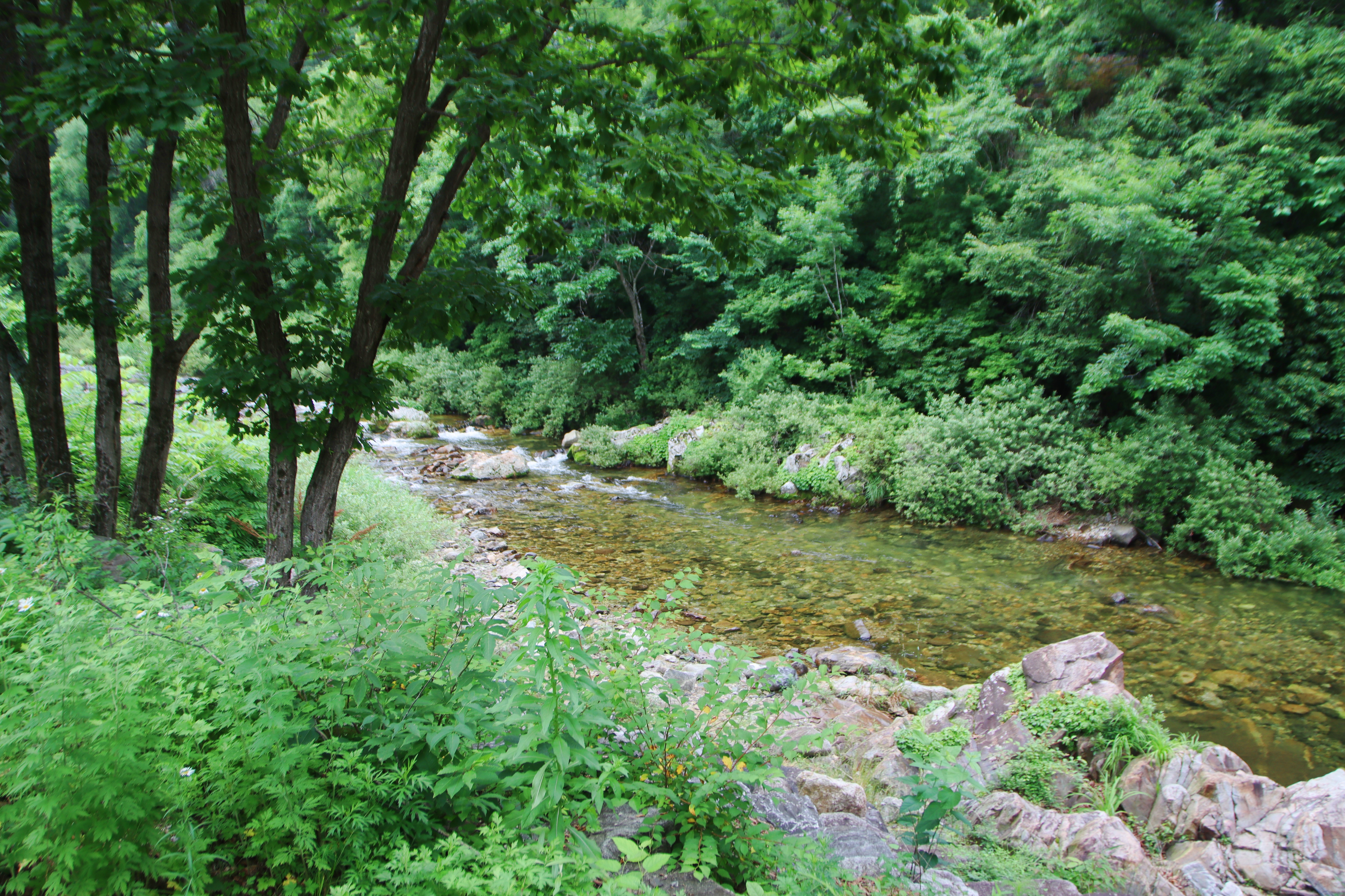 캠프 고토일 이미지