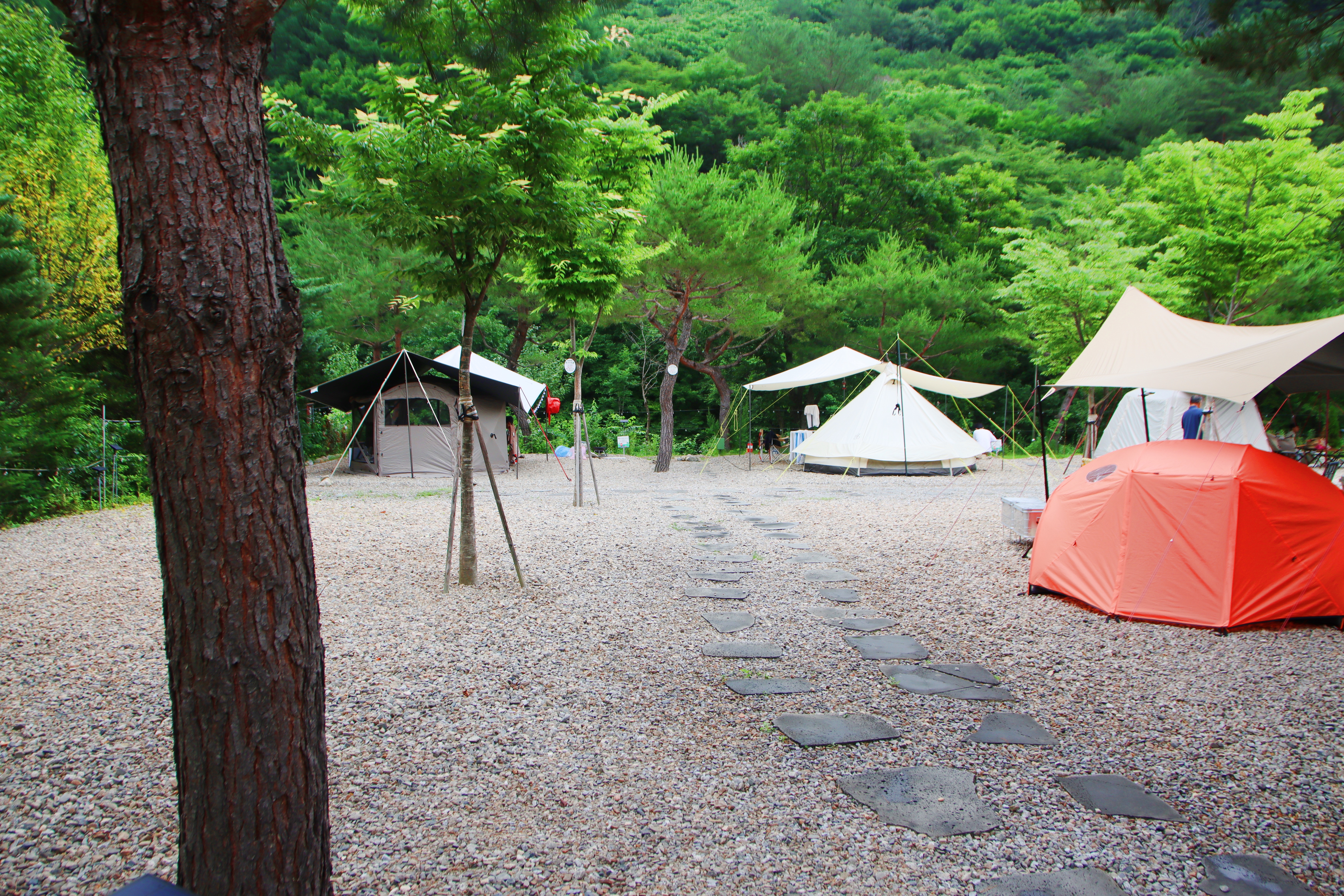 캠프 고토일 이미지