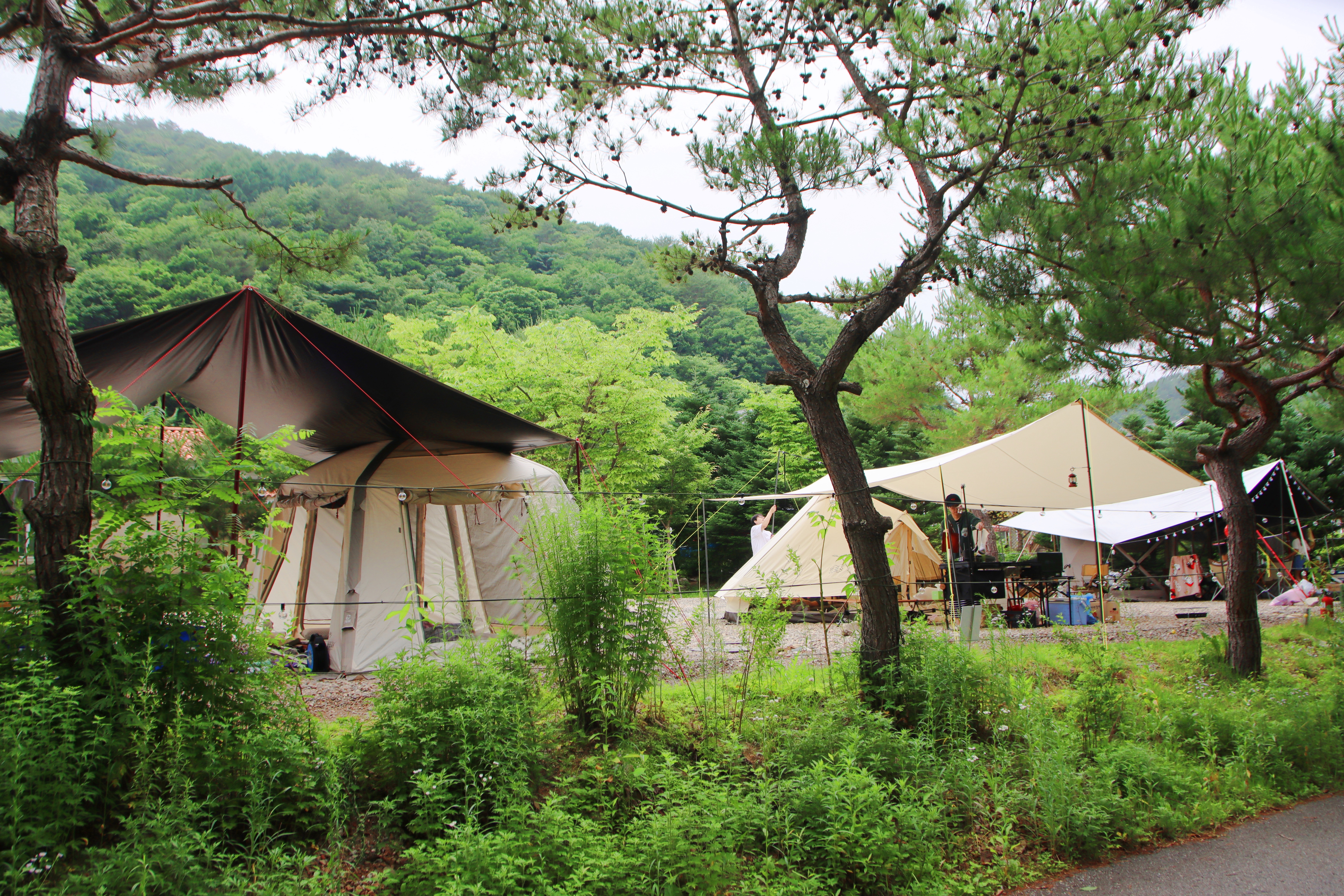 캠프 고토일 이미지