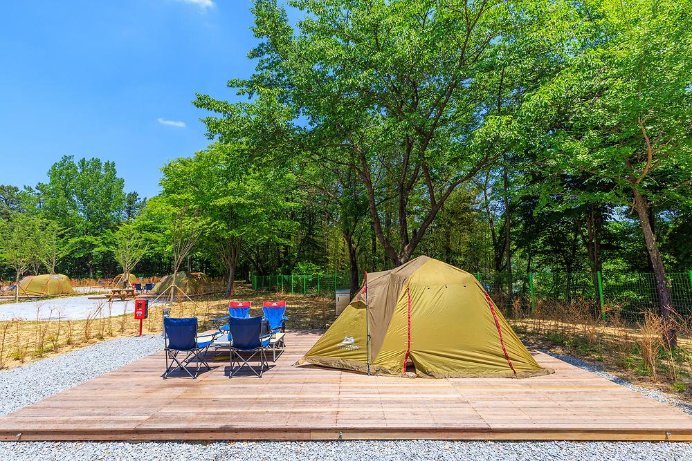 경상북도교육청김천오토캠핑장