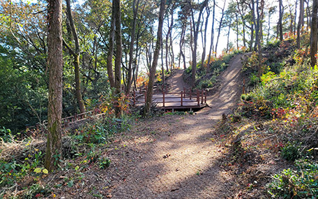 장흥군 수문랜드 블루투어 이미지