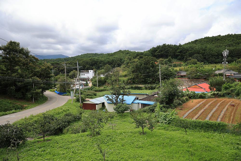카사비앙카