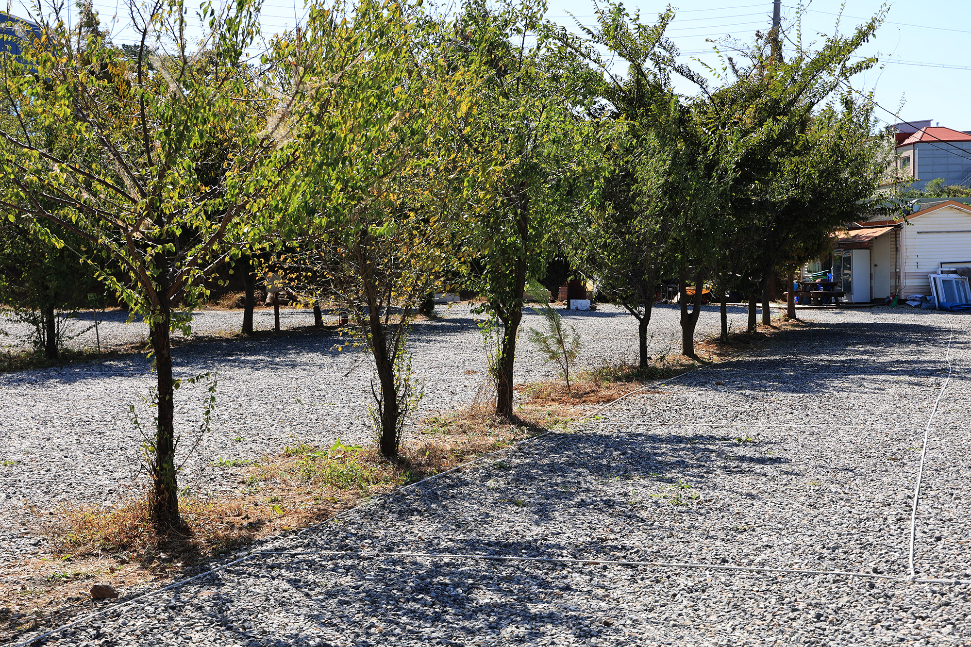 매향 오토 캠핑장 이미지