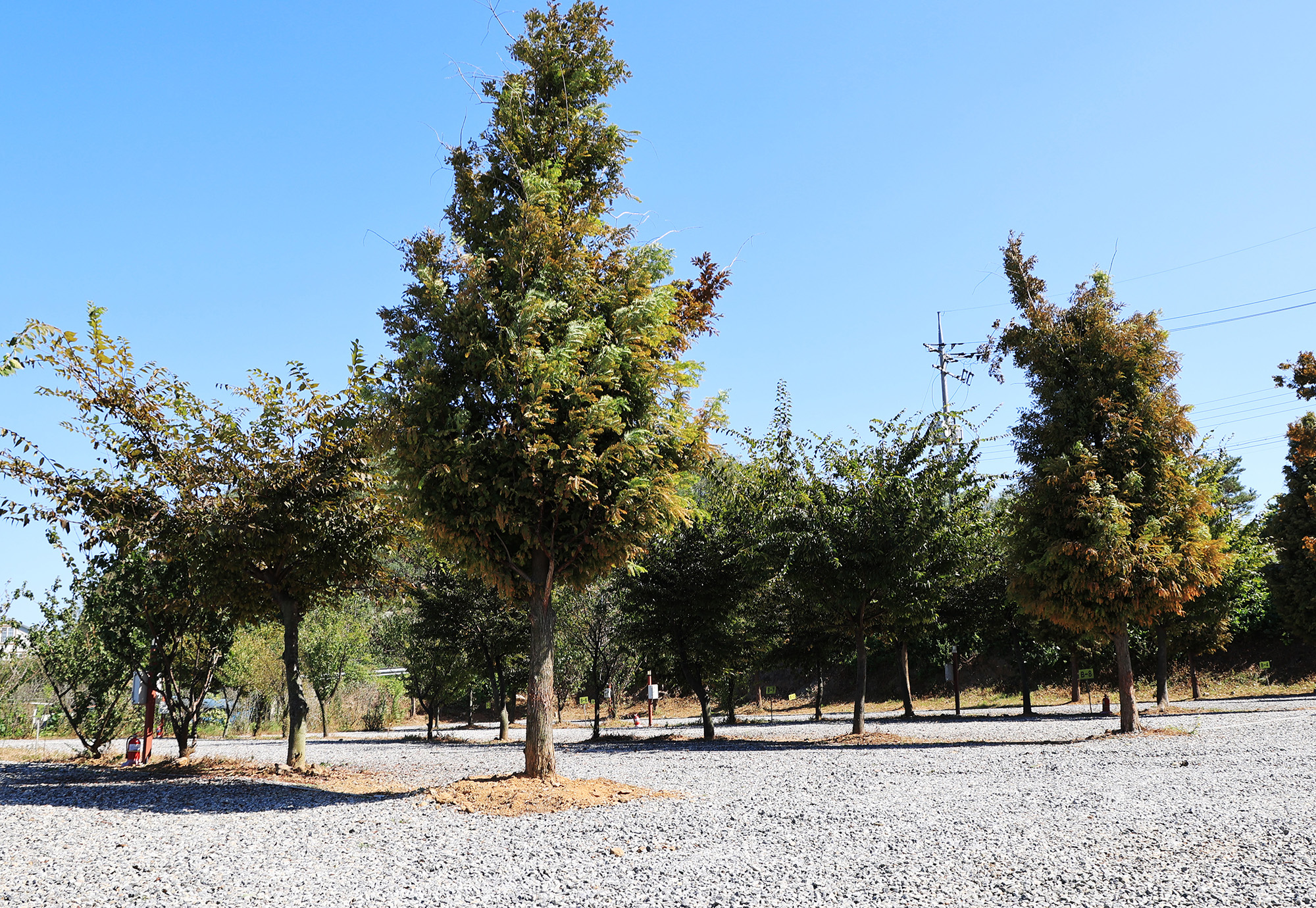 매향 오토 캠핑장 이미지