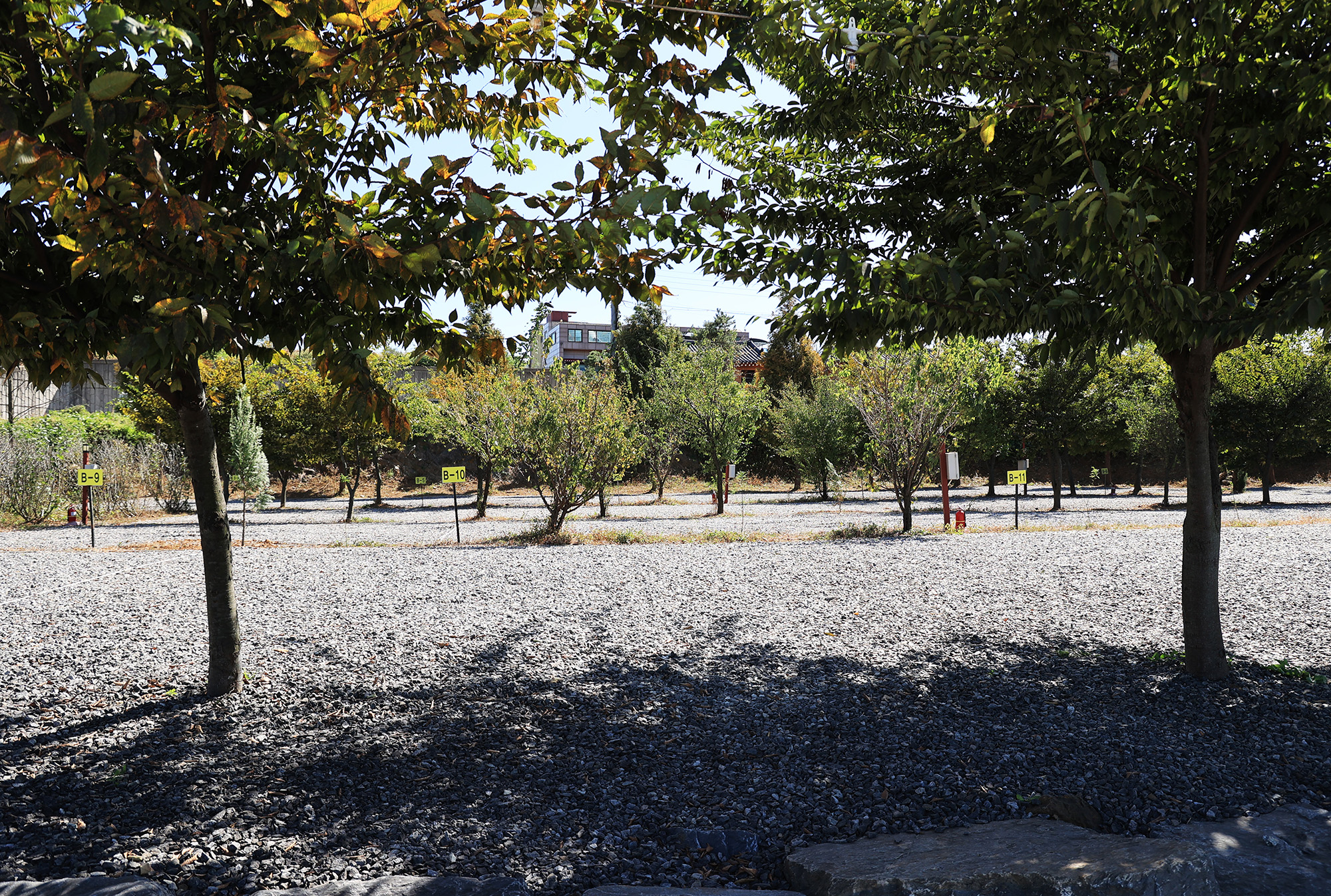 매향 오토 캠핑장 이미지