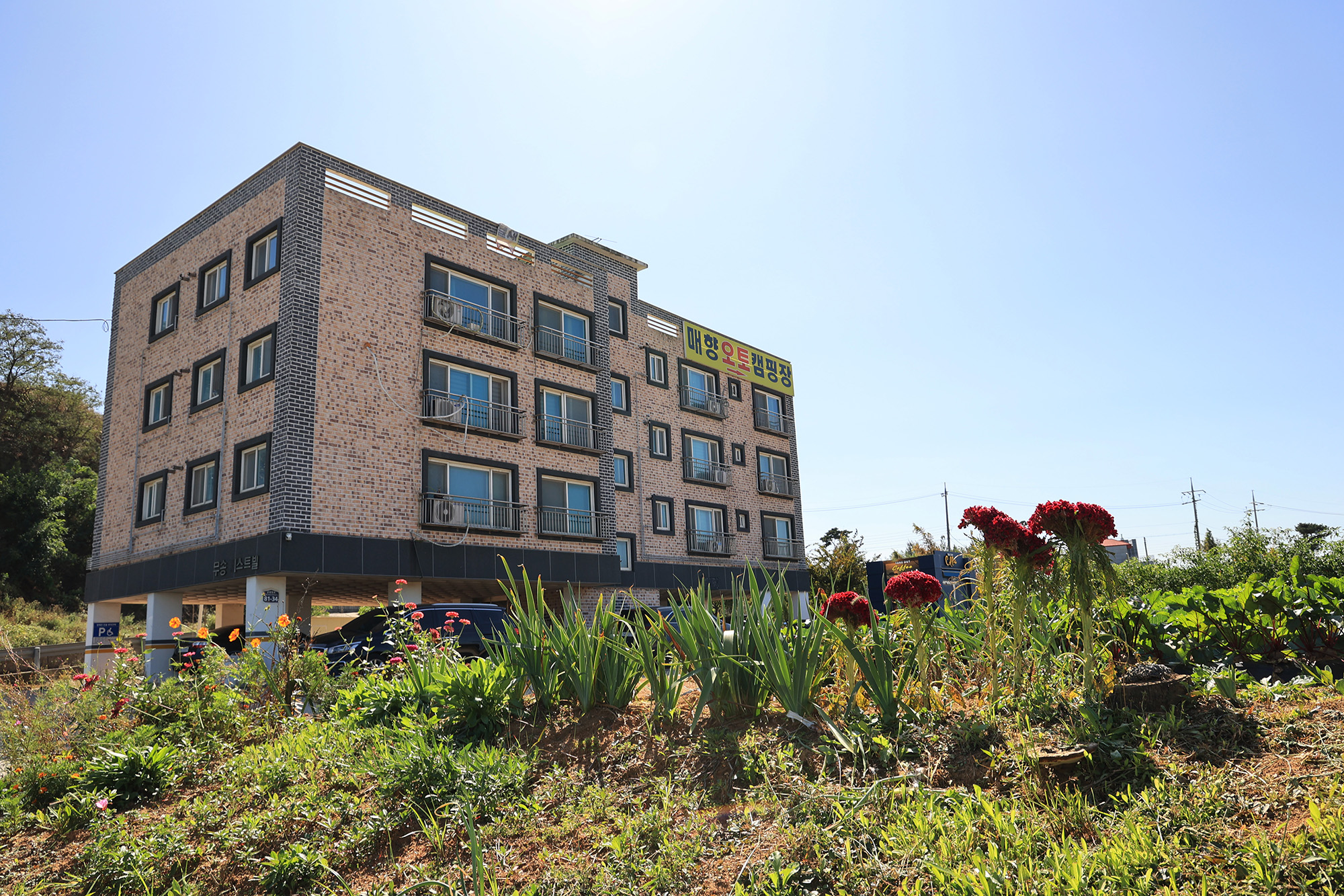 매향 오토 캠핑장 이미지