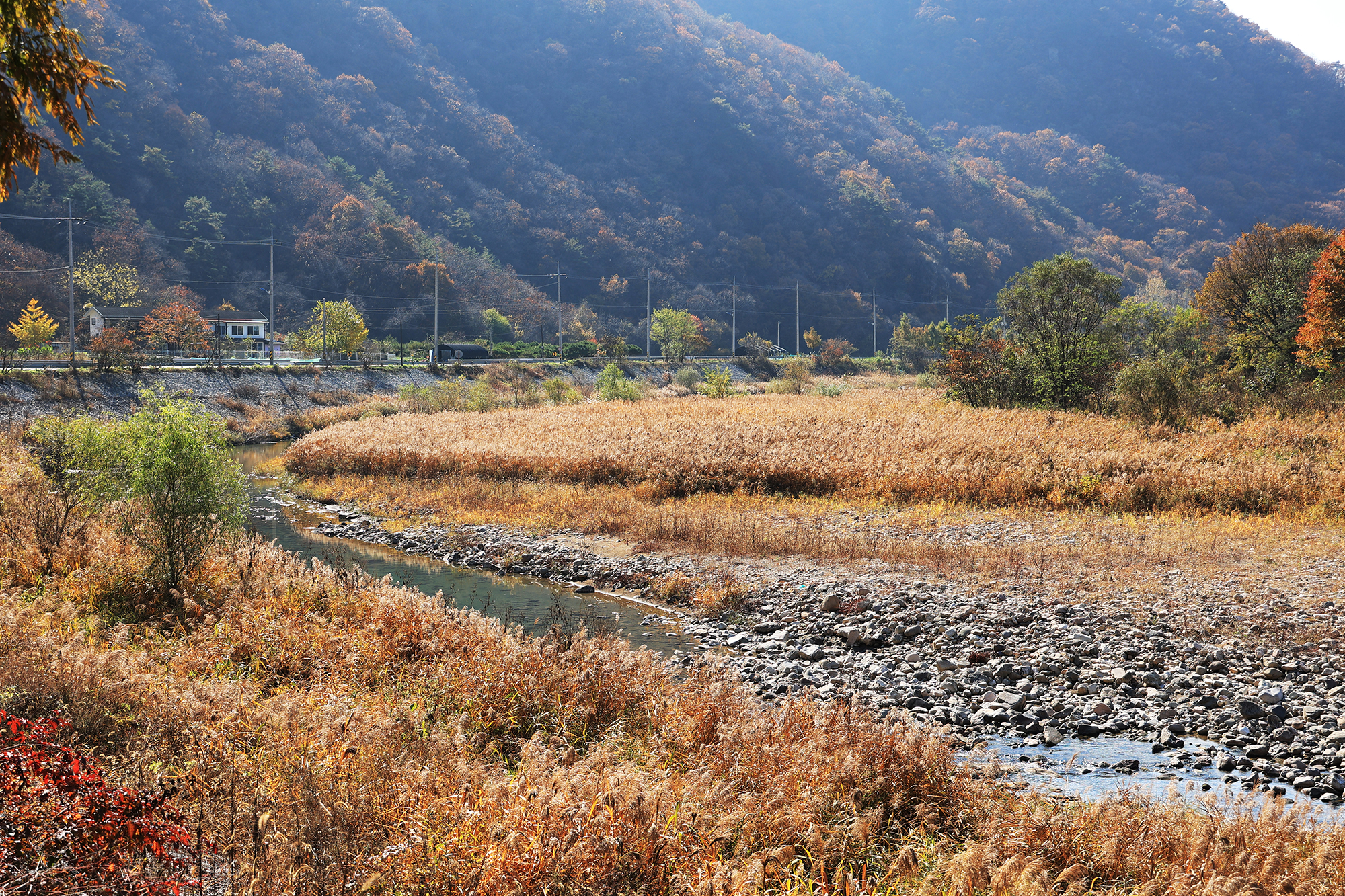 우리오토캠핑장 이미지