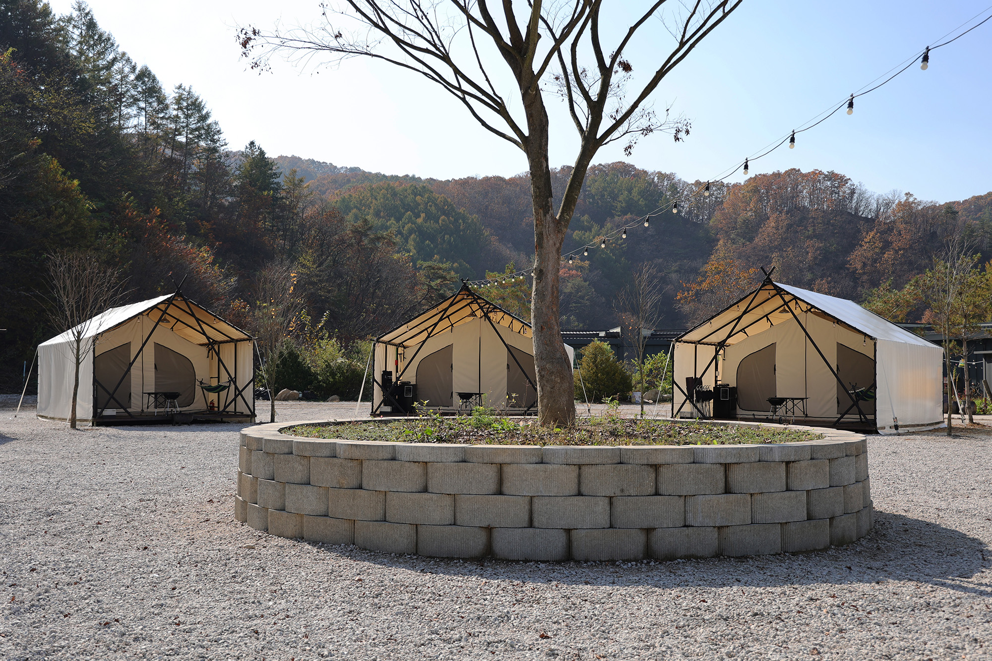 호랑이캠핑 이미지