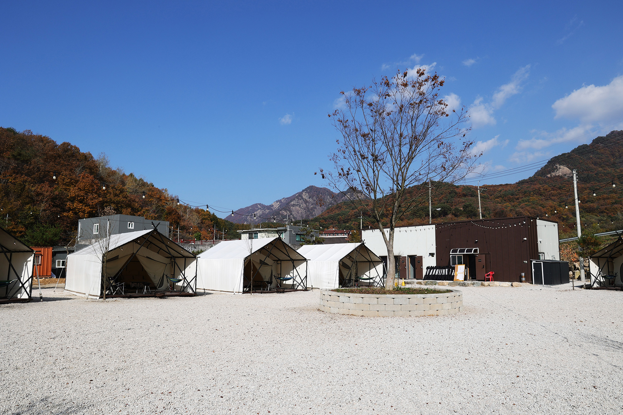 호랑이캠핑 이미지