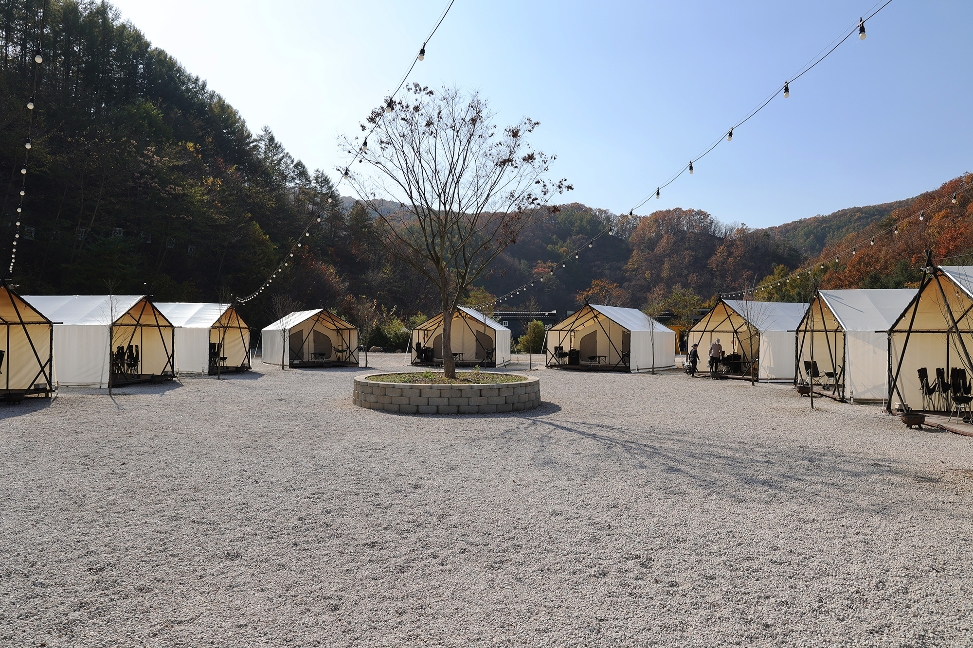 호랑이캠핑 이미지