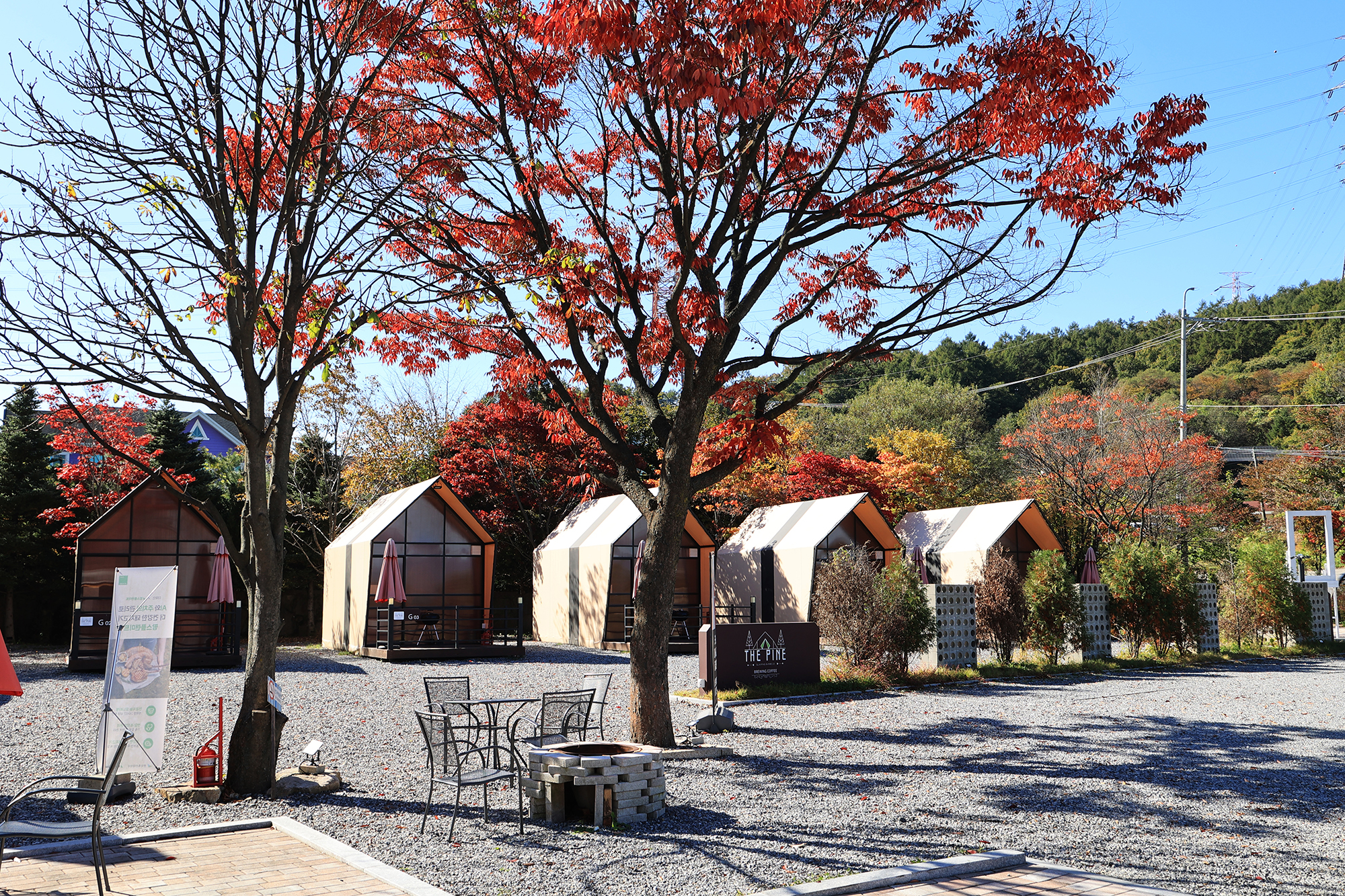 더파인캠핑 이미지