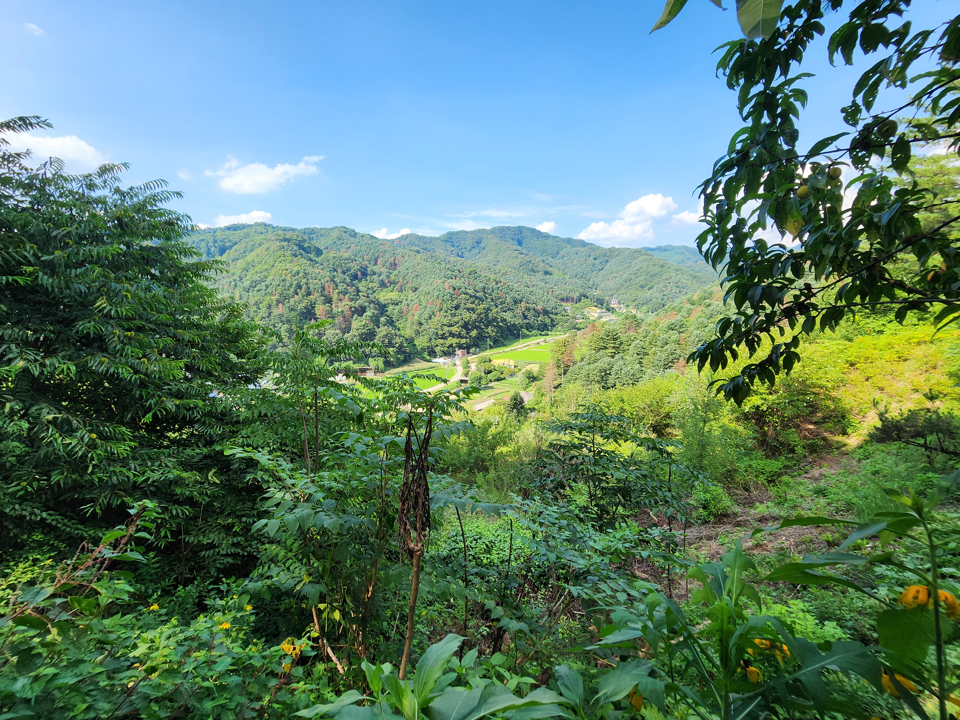 가평 오블리비아테 수영장 펜션&카라반 10번째 이미지
