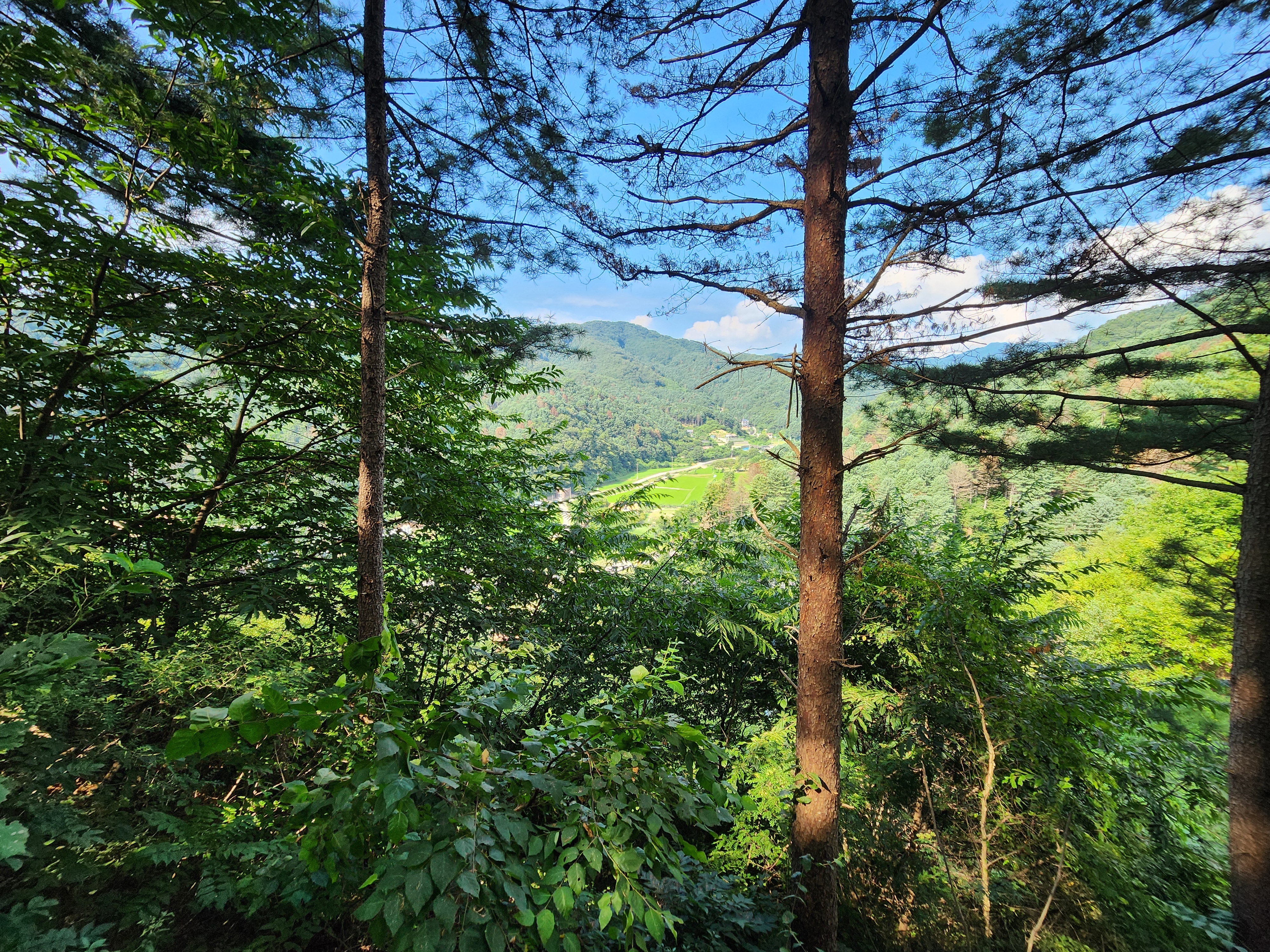 가평 오블리비아테 수영장 펜션&카라반 9번째 이미지