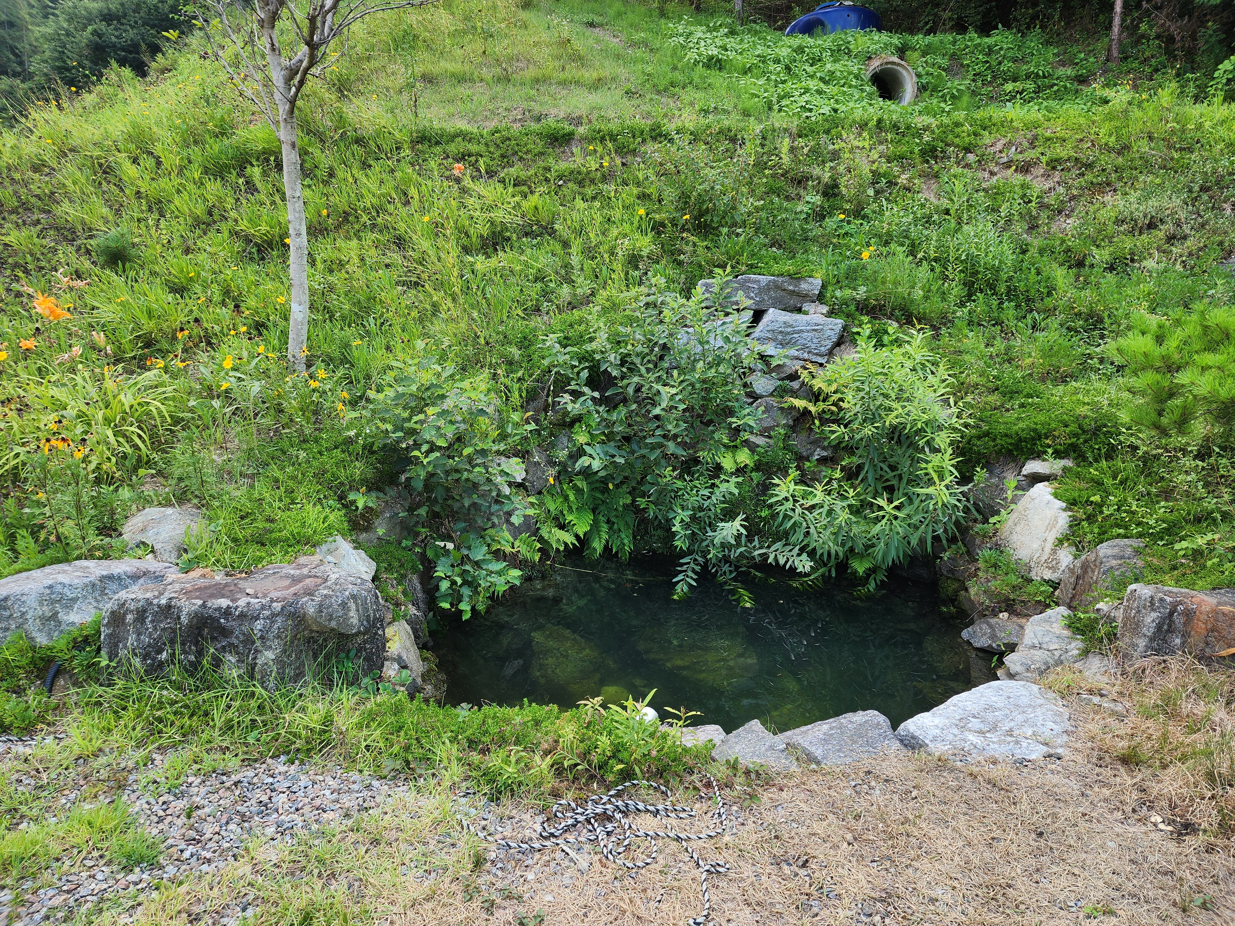가평 오블리비아테 수영장 펜션&카라반 31번째 이미지