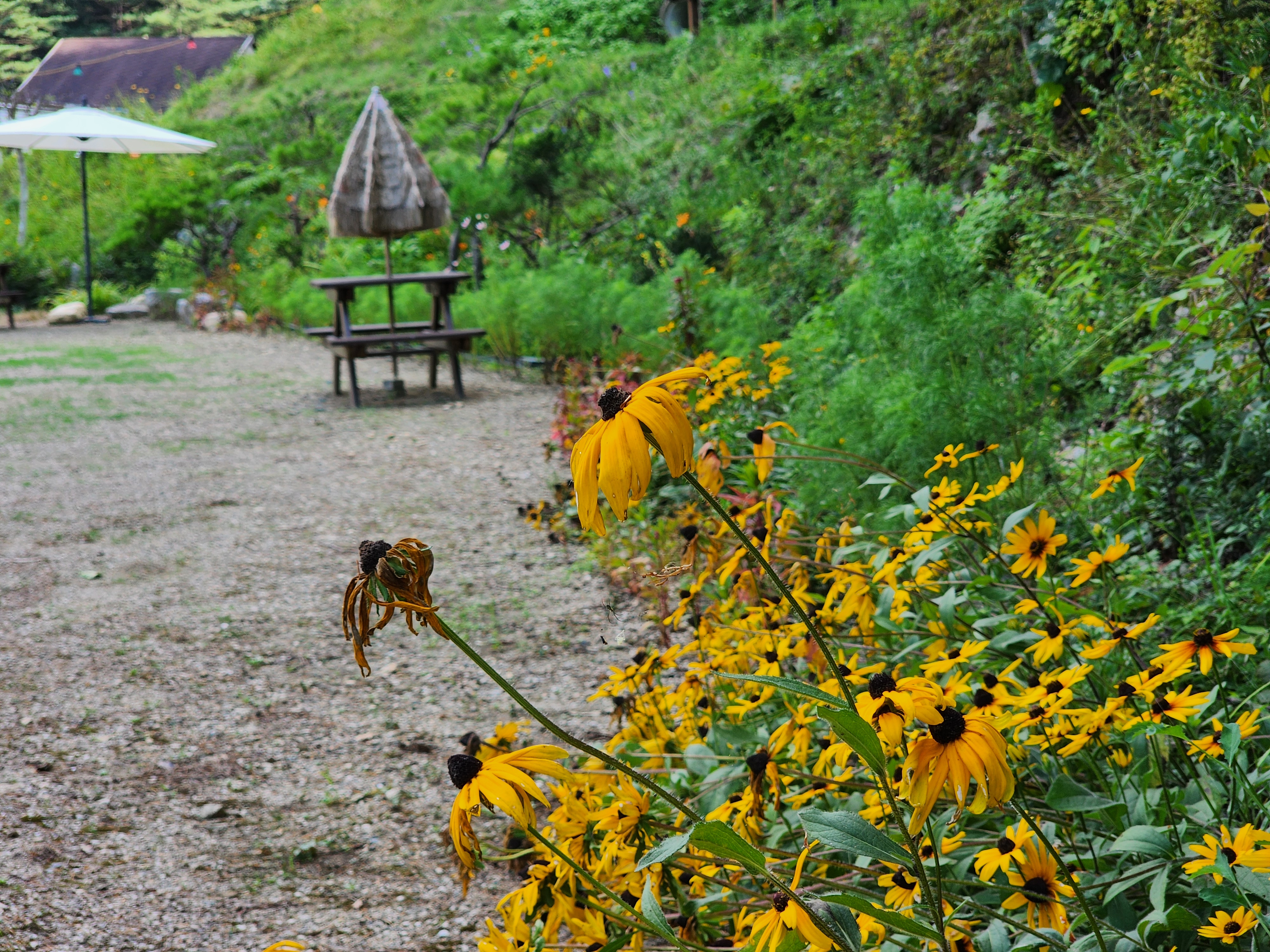 가평 오블리비아테 수영장 펜션&카라반 11번째 이미지