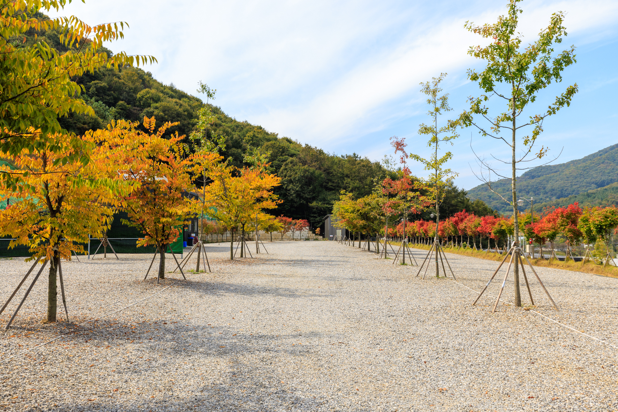 진천포레스트캠핑장 7번째 이미지