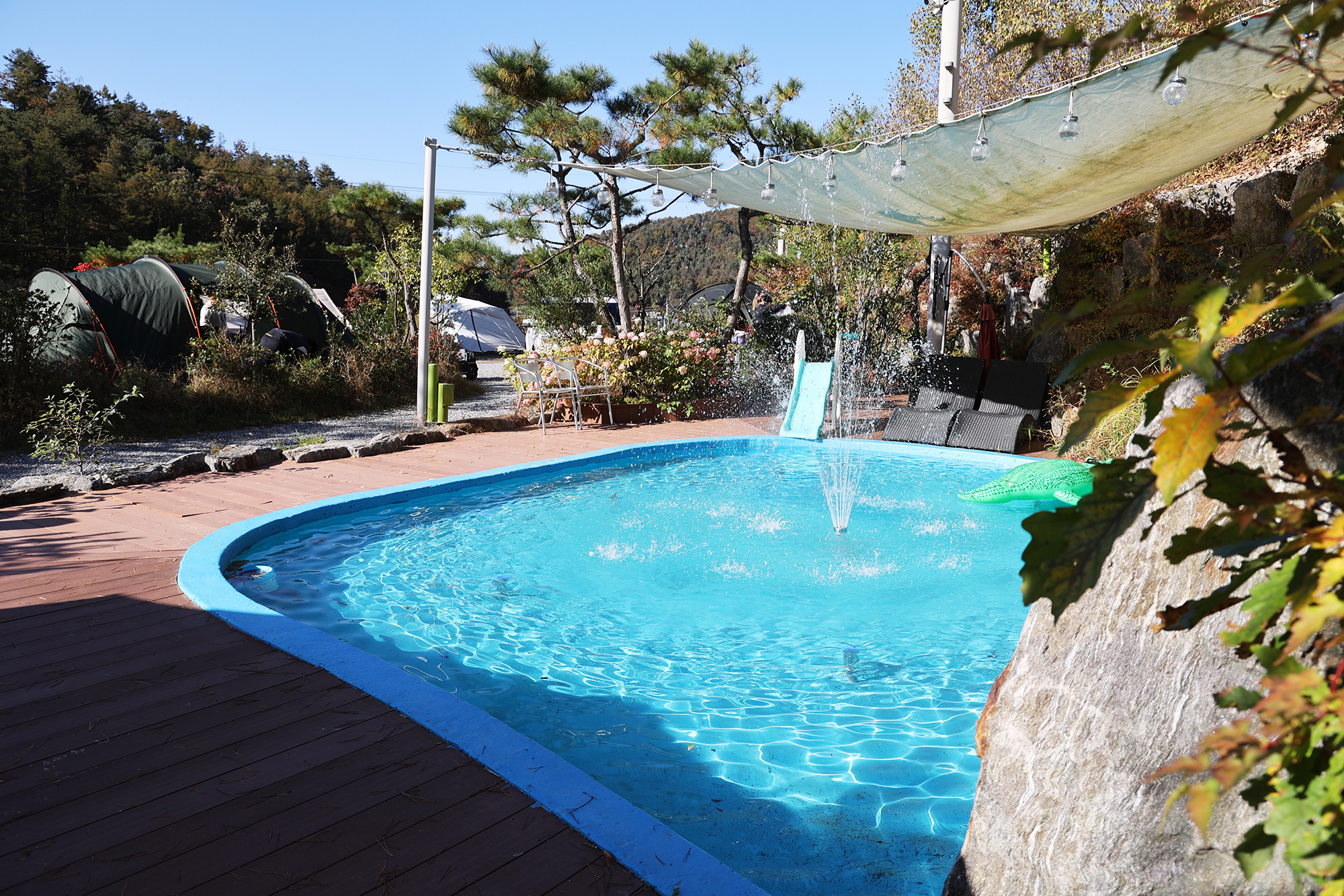 청계호수 자작나무숲 캠핑장 이미지