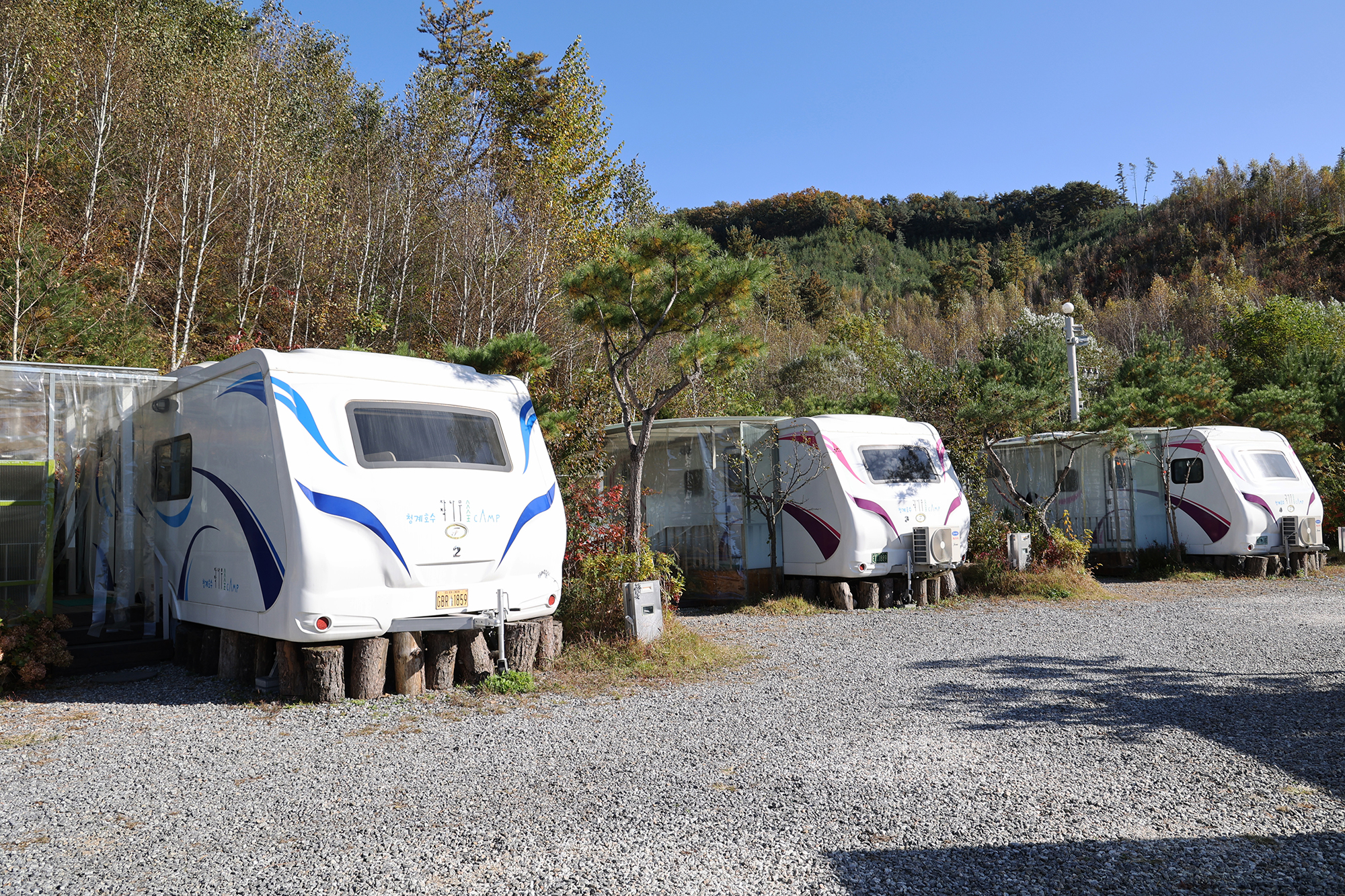 청계호수 자작나무숲 캠핑장 이미지