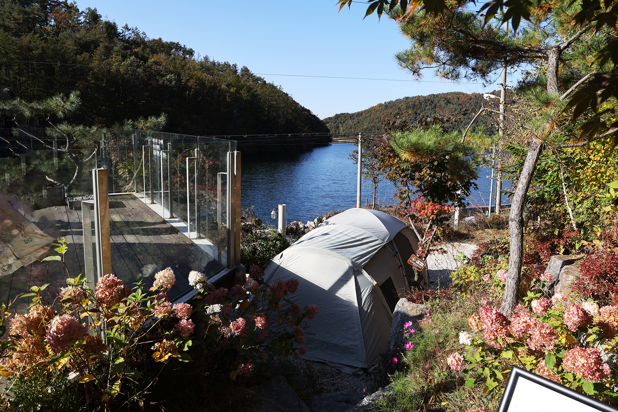 청계호수 자작나무숲 캠핑장 이미지